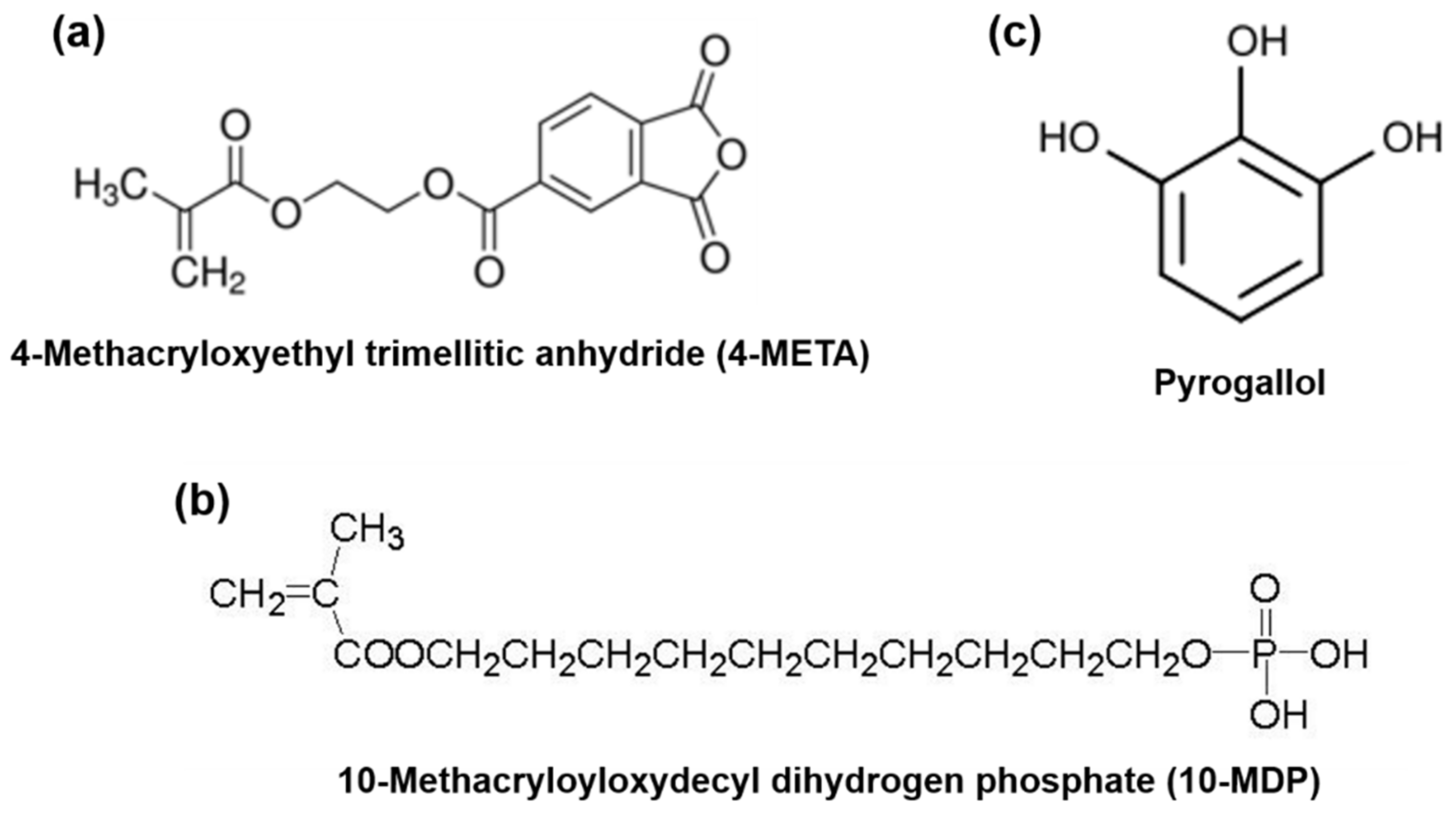 Polymers 13 01538 g001