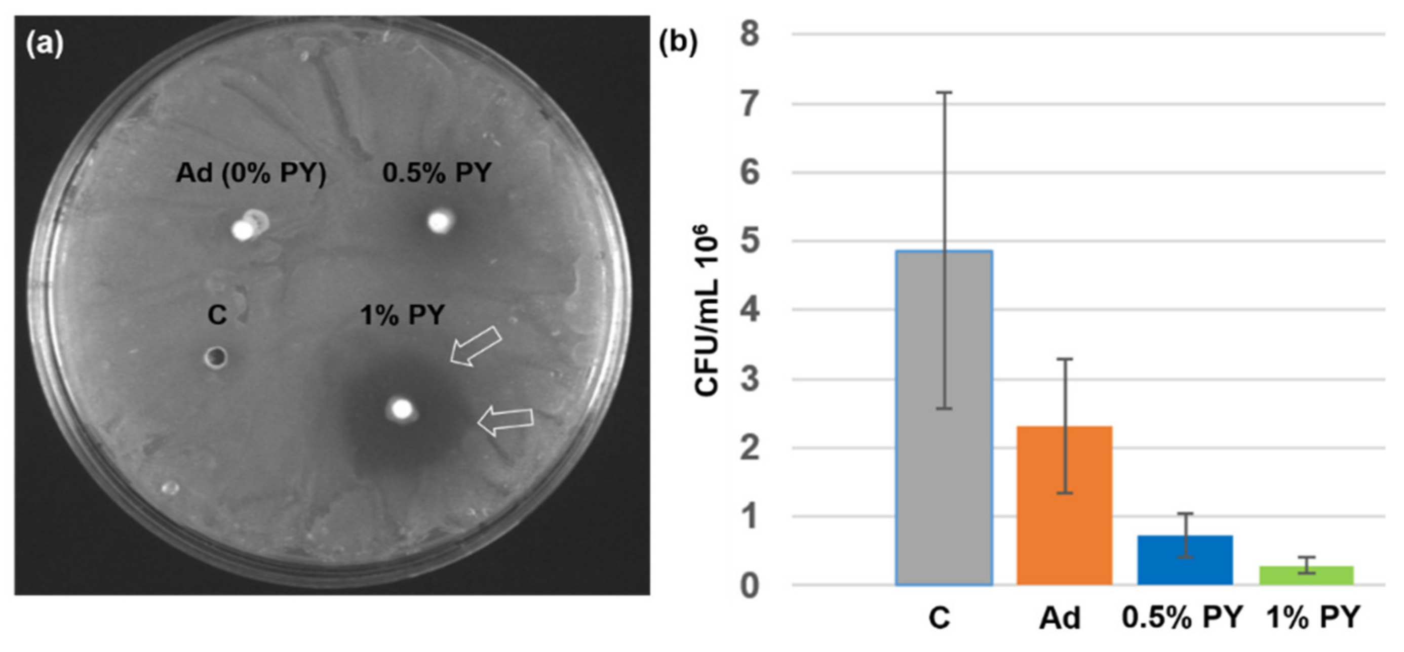 Polymers 13 01538 g003