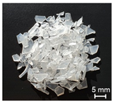 Polymers 13 01540 i004