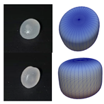 Polymers 13 01540 i007