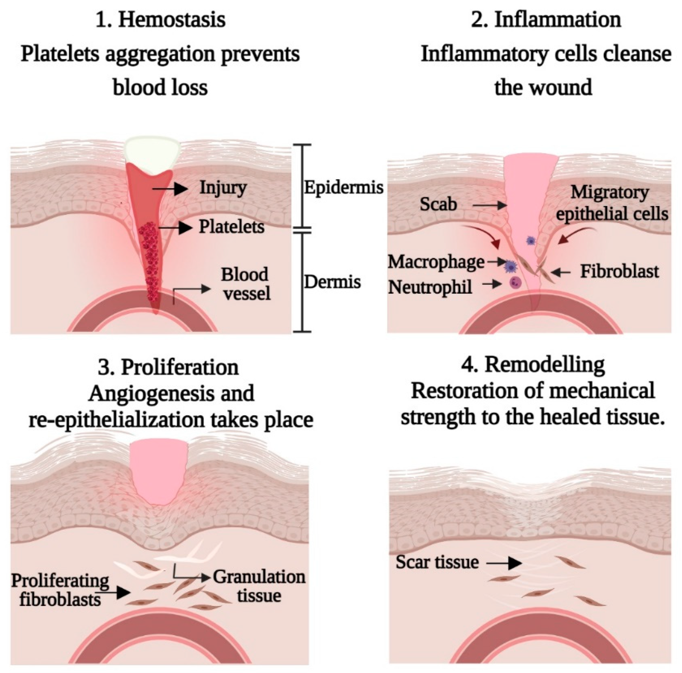 Polymers 13 01546 g001