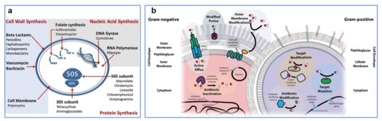 Polymers 13 01552 g001