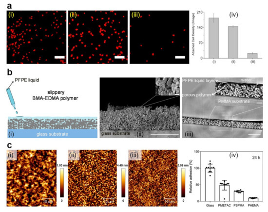 Polymers 13 01552 g004