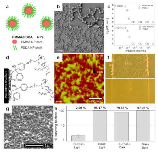 Polymers 13 01552 g006