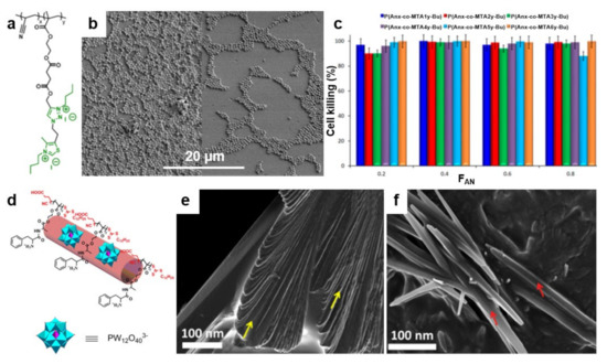 Polymers 13 01552 g009
