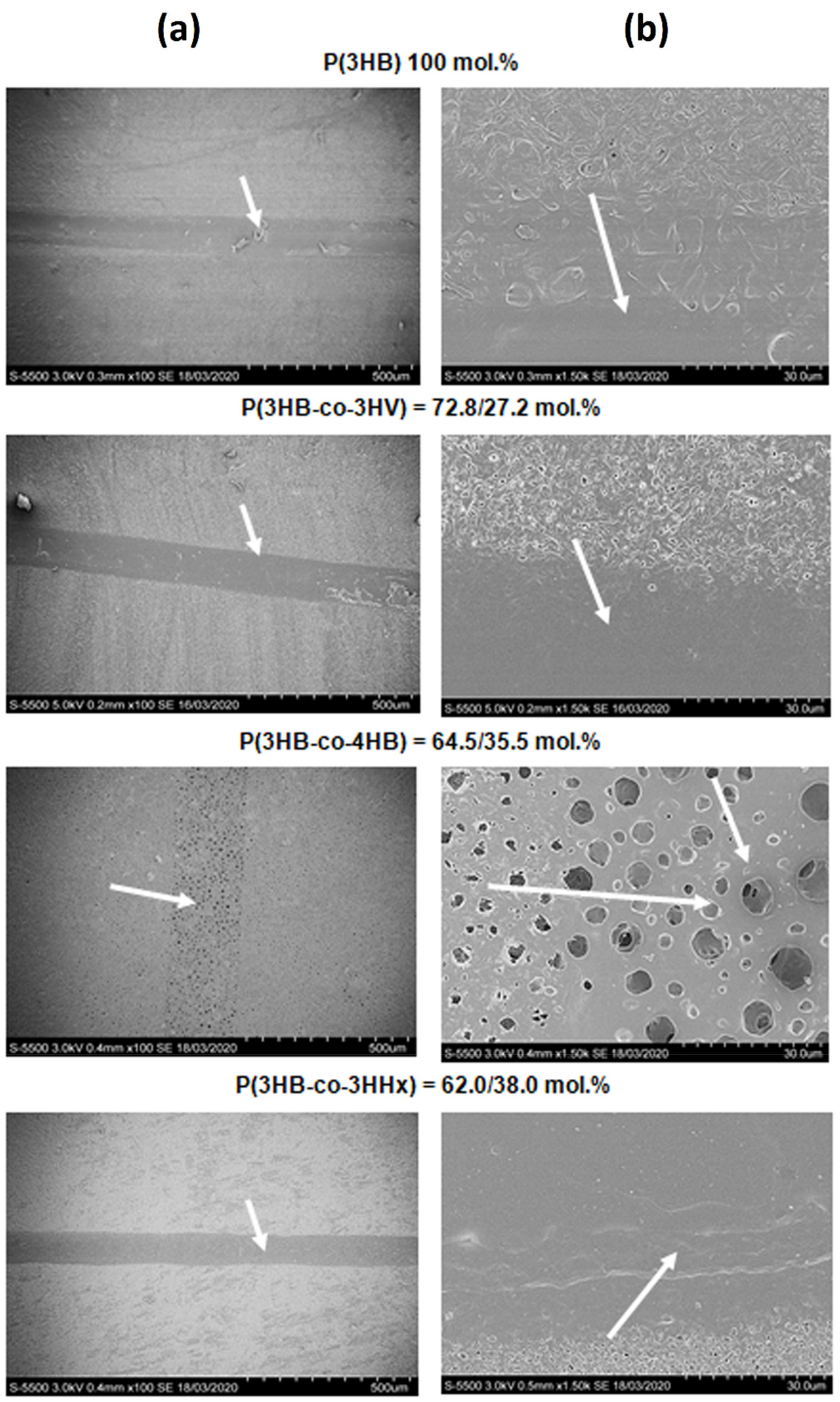 Polymers 13 01553 g002 Polymers 13 01553 g002