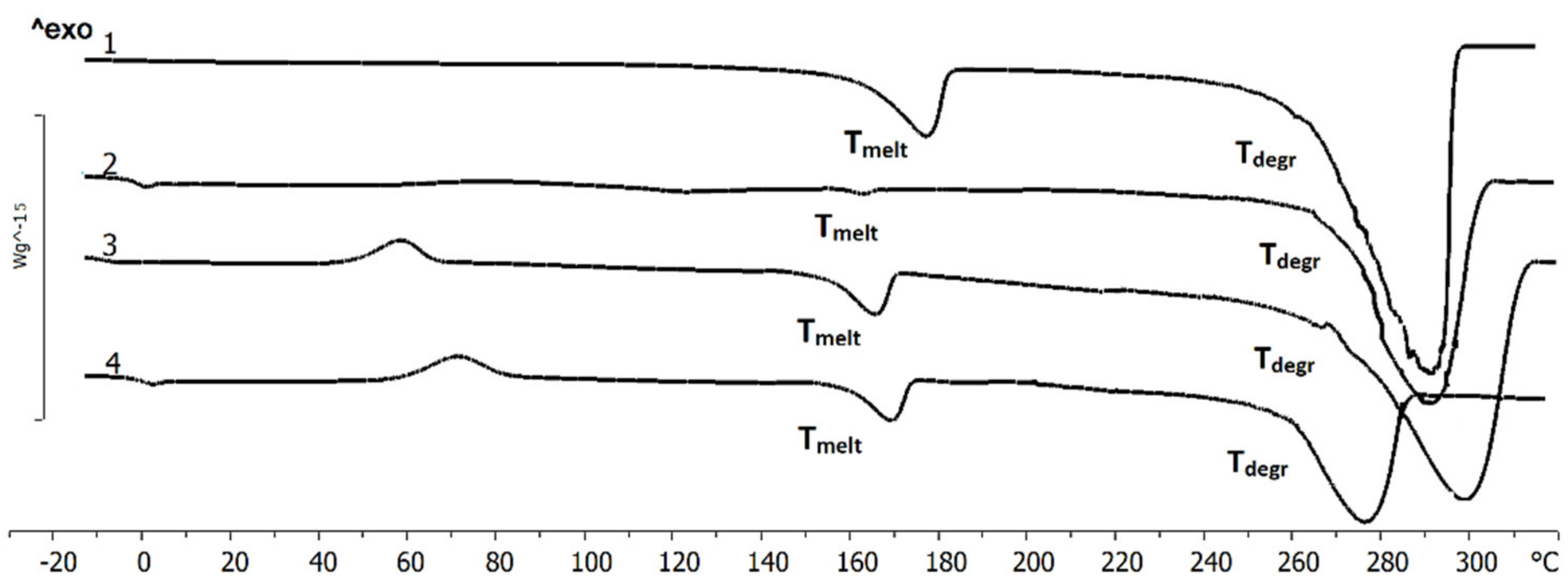Polymers 13 01553 g003 Polymers 13 01553 g003