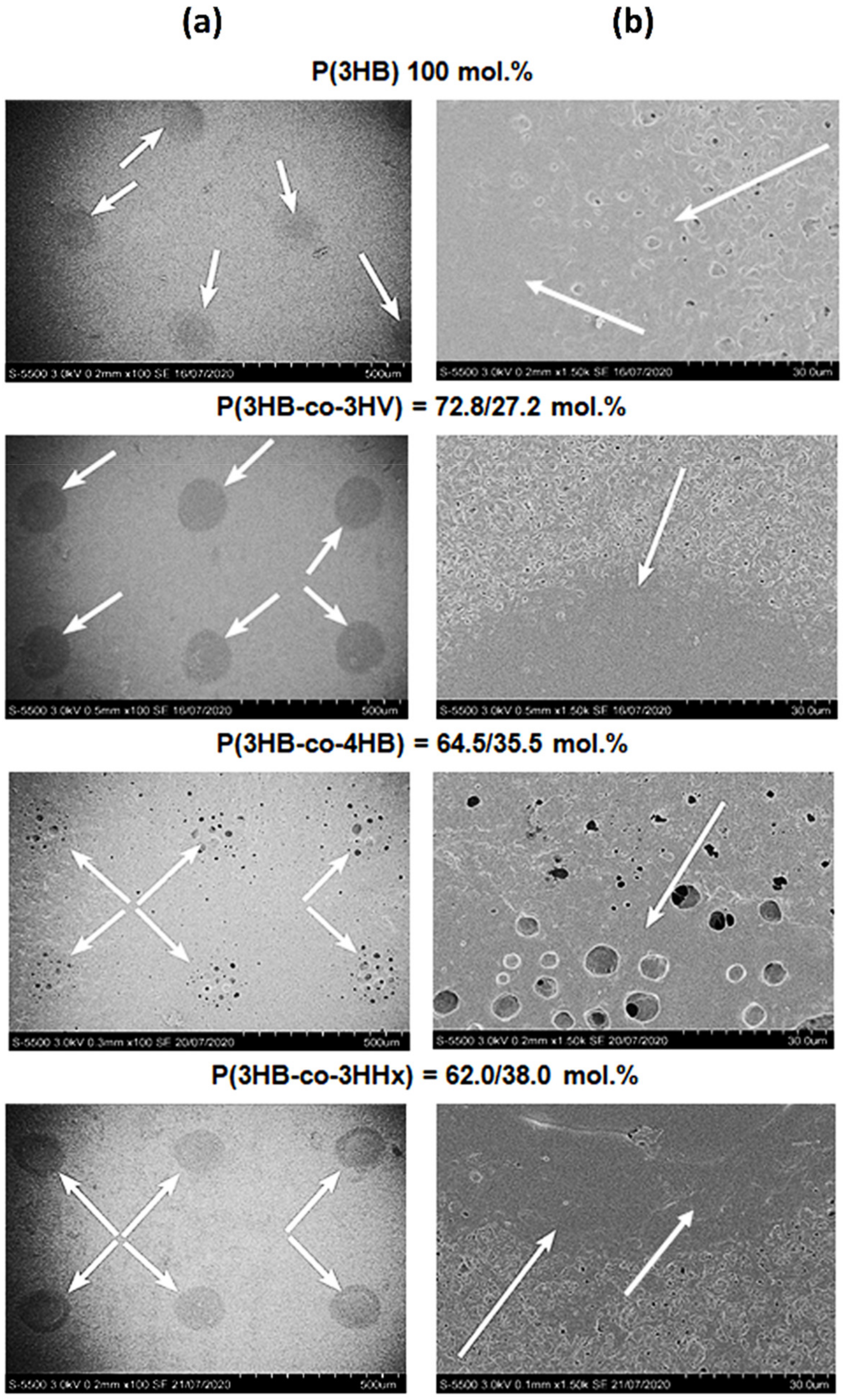 Polymers 13 01553 g005 Polymers 13 01553 g005