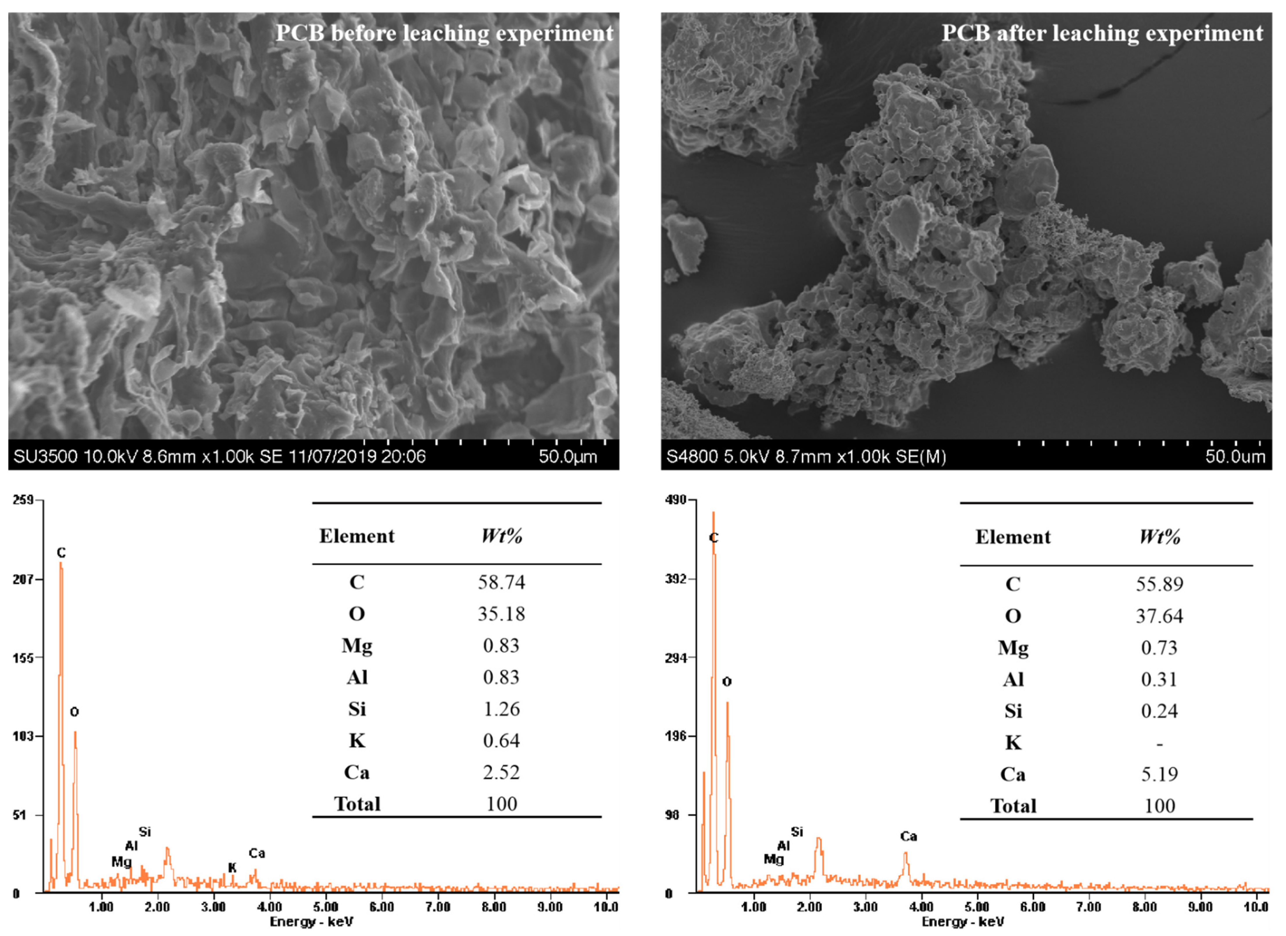 Polymers 13 01557 g002 Polymers 13 01557 g002