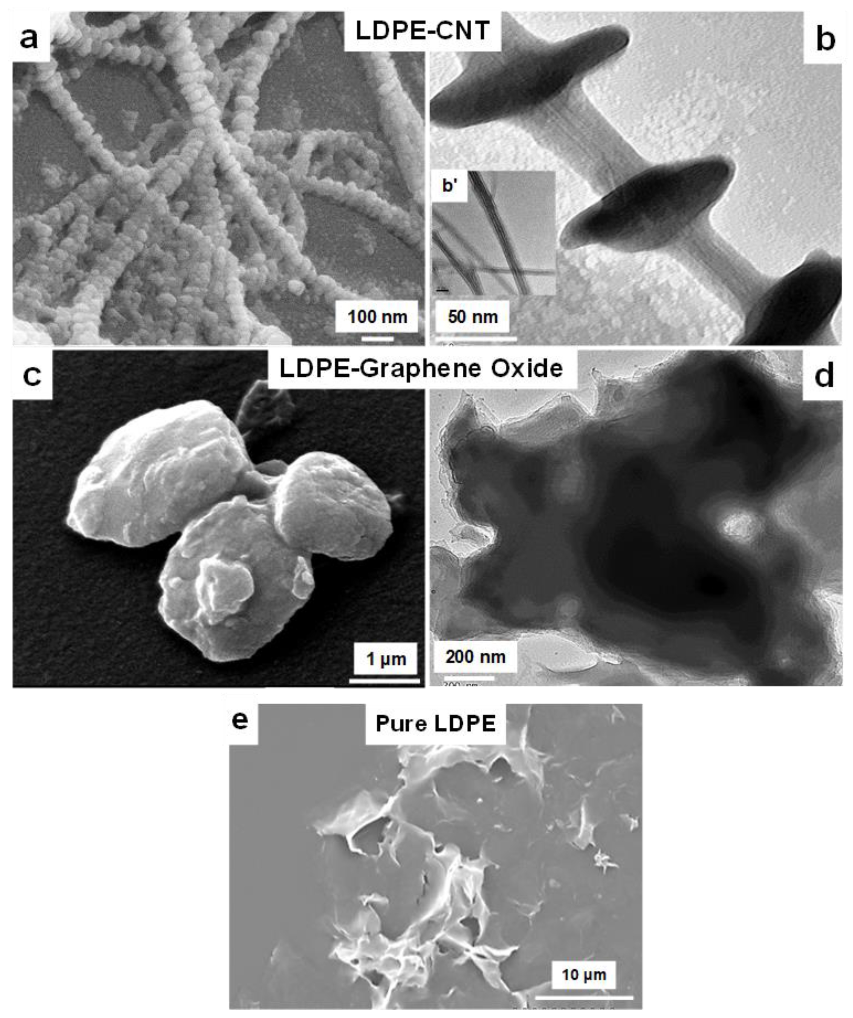 Polymers 13 01558 g001