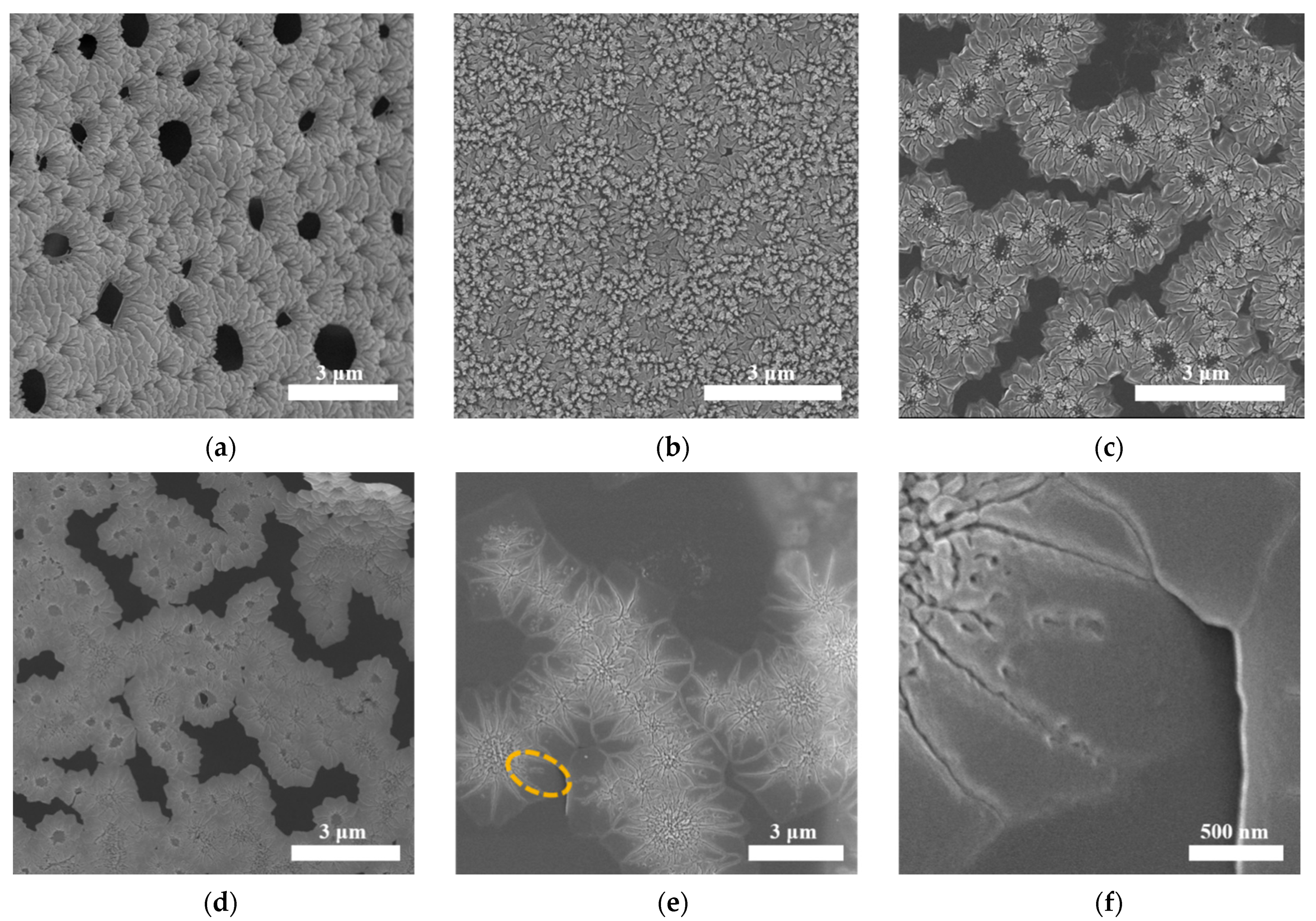 Polymers 13 01561 g004