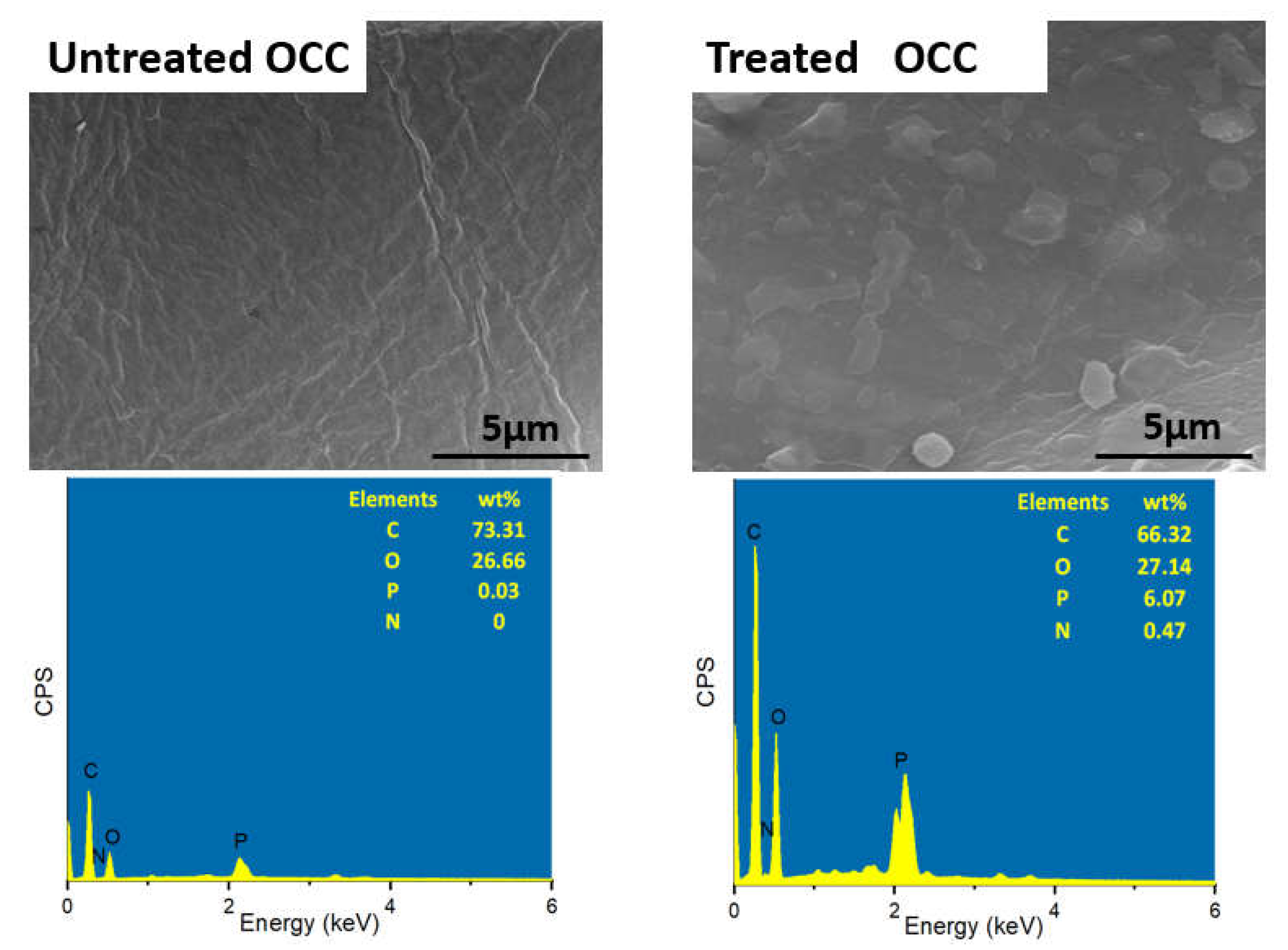 Polymers 13 01562 g002