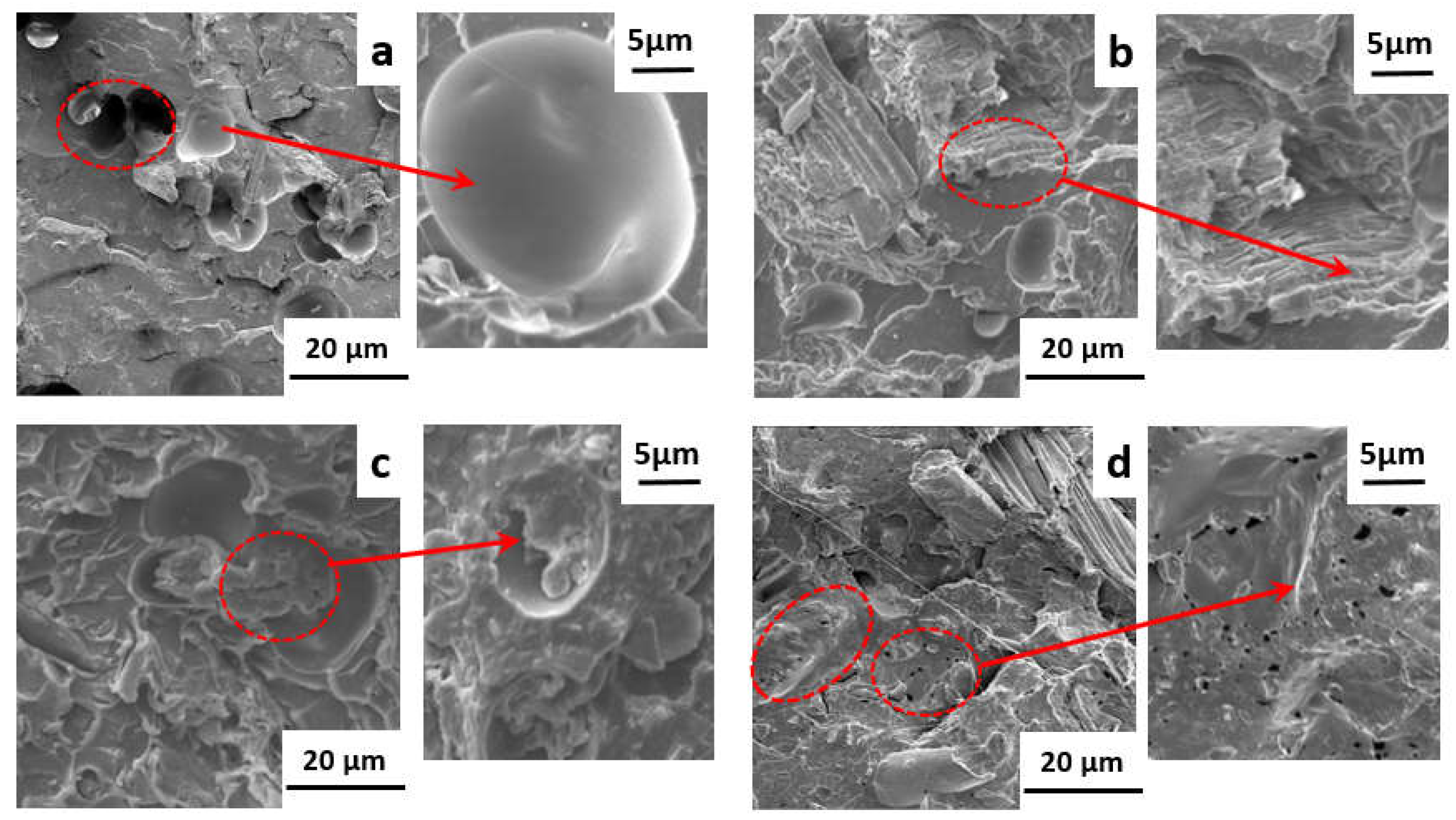 Polymers 13 01562 g005