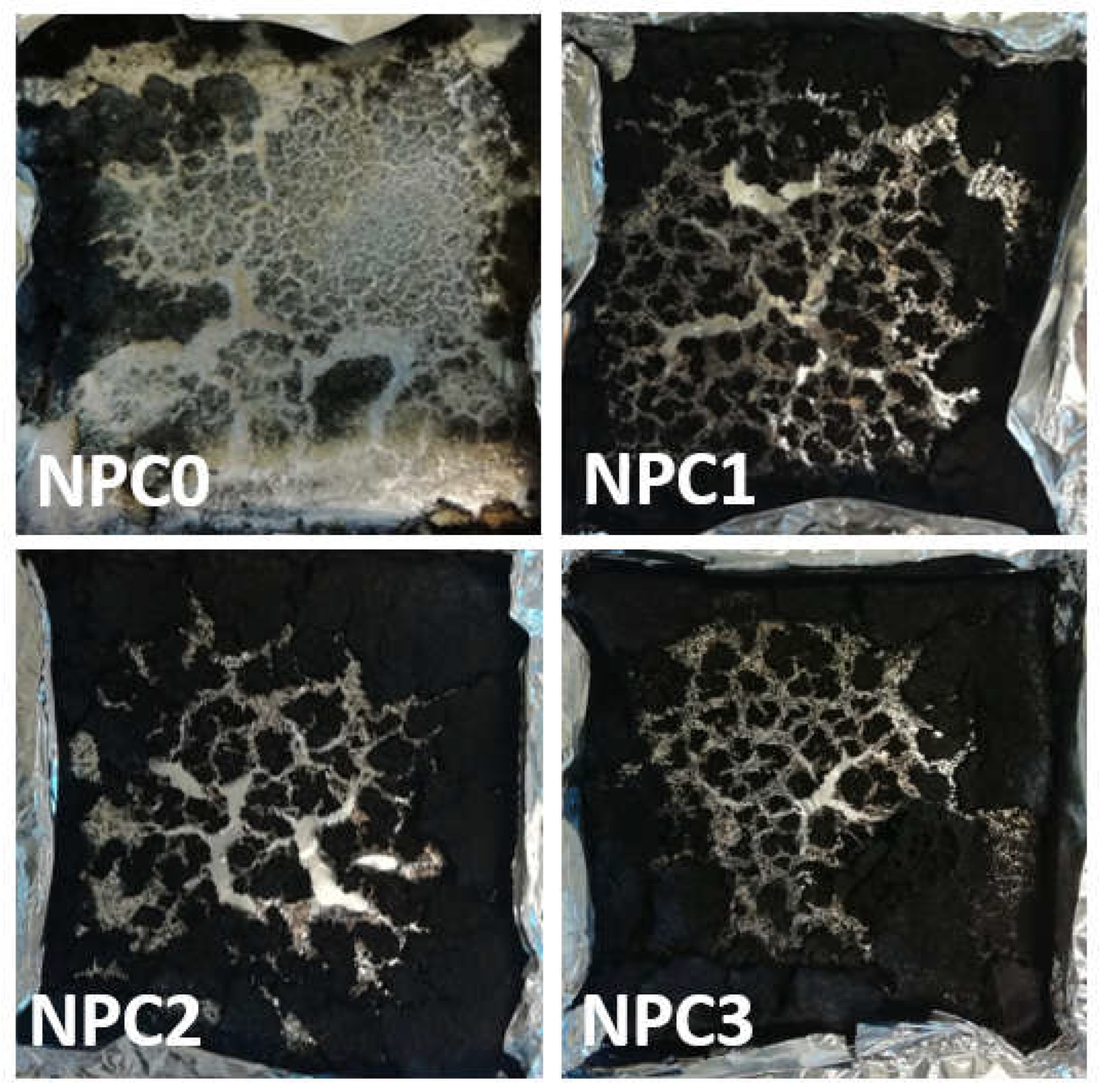 Polymers 13 01562 g010