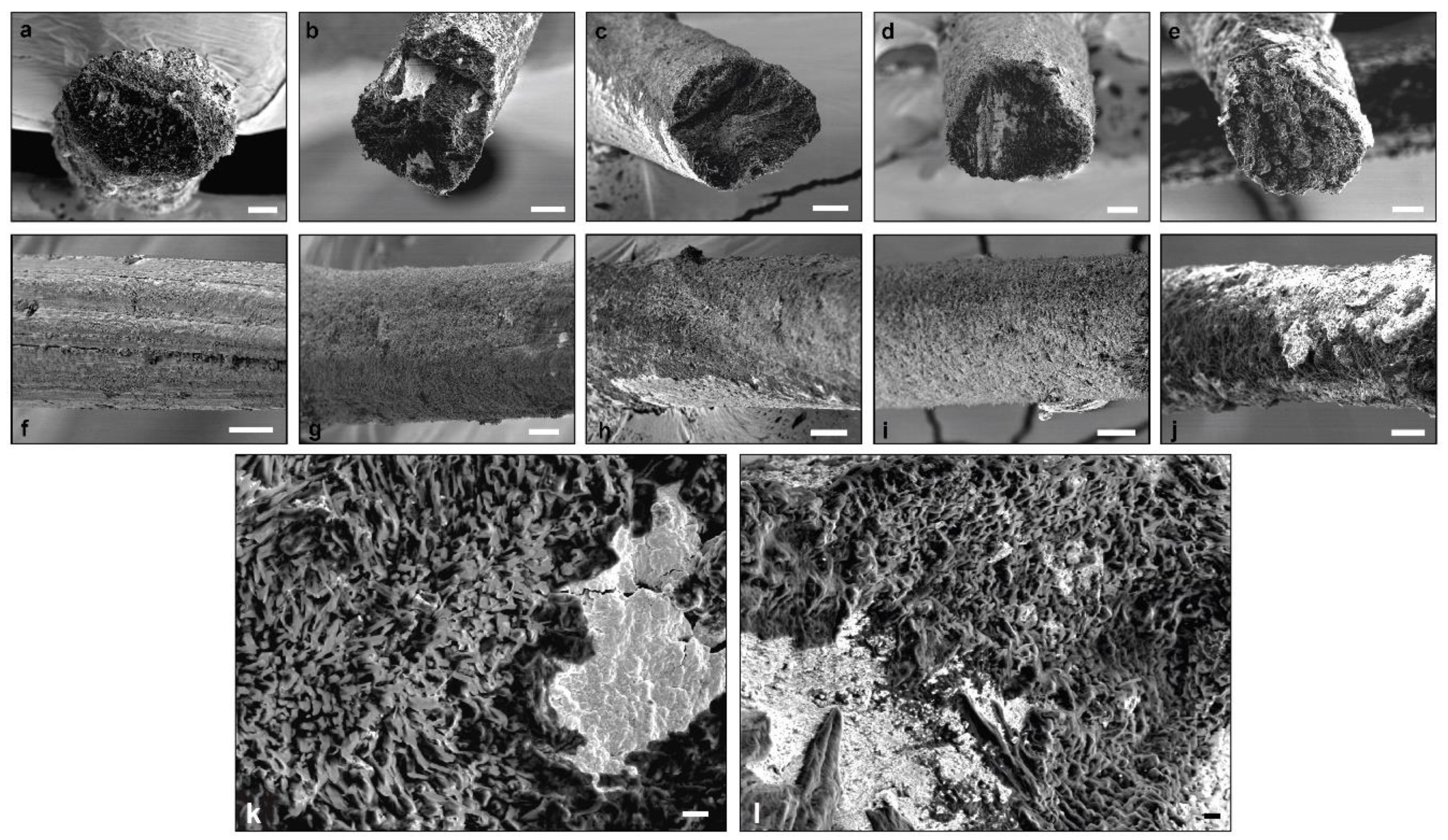 Polymers 13 01563 g005