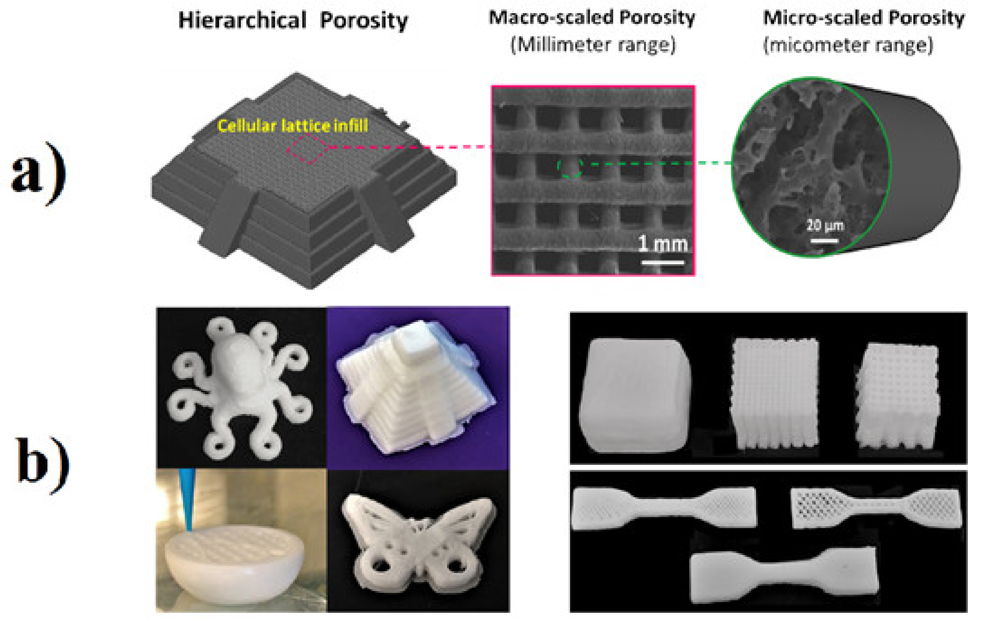 Polymers 13 01565 g005 Polymers 13 01565 g005