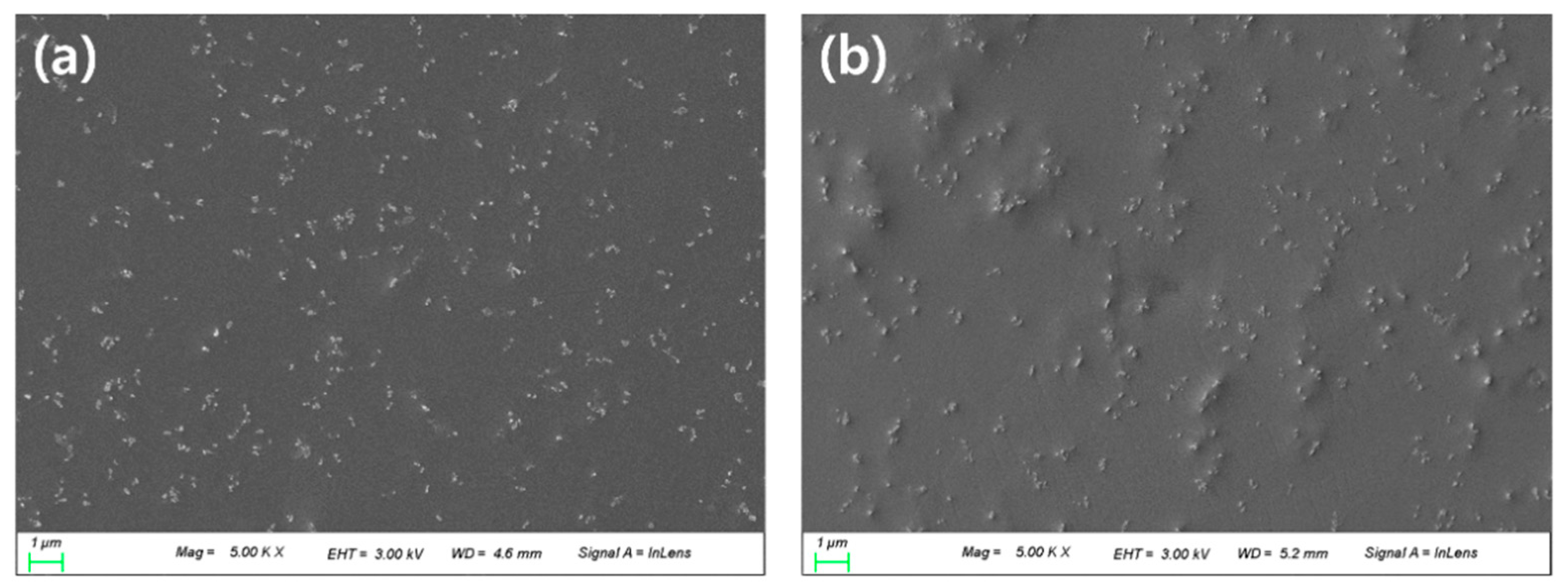 Polymers 13 01575 g006