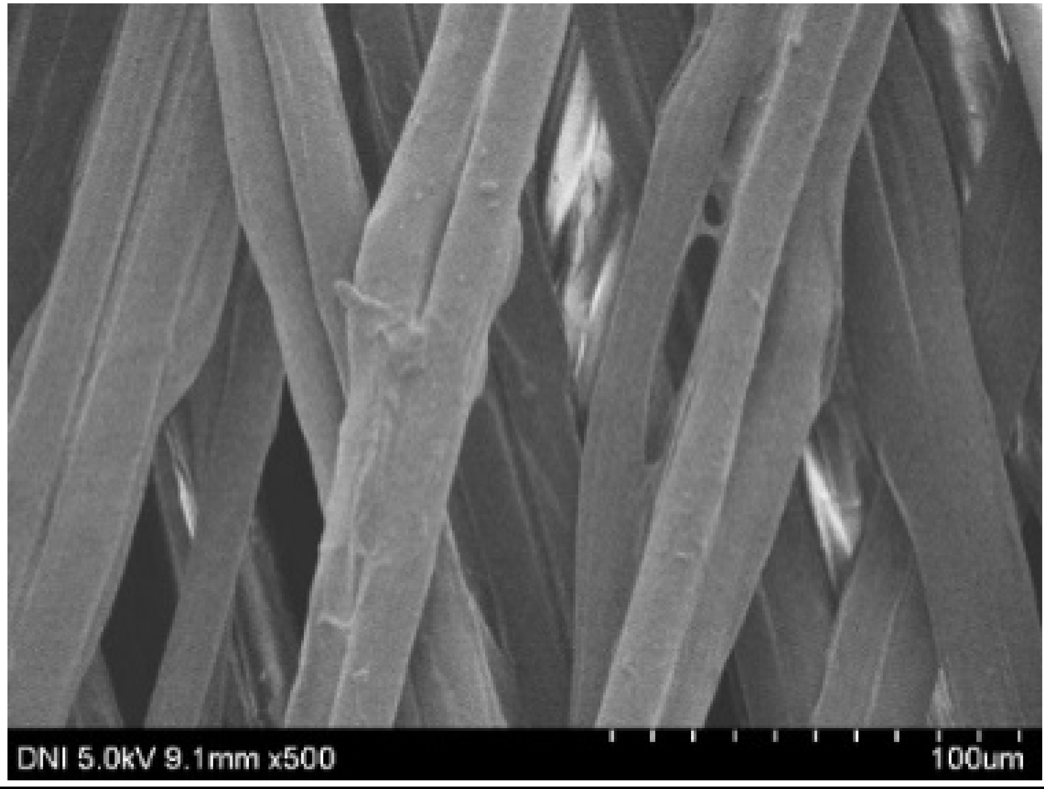 Polymers 13 01578 i005 Polymers 13 01578 i005