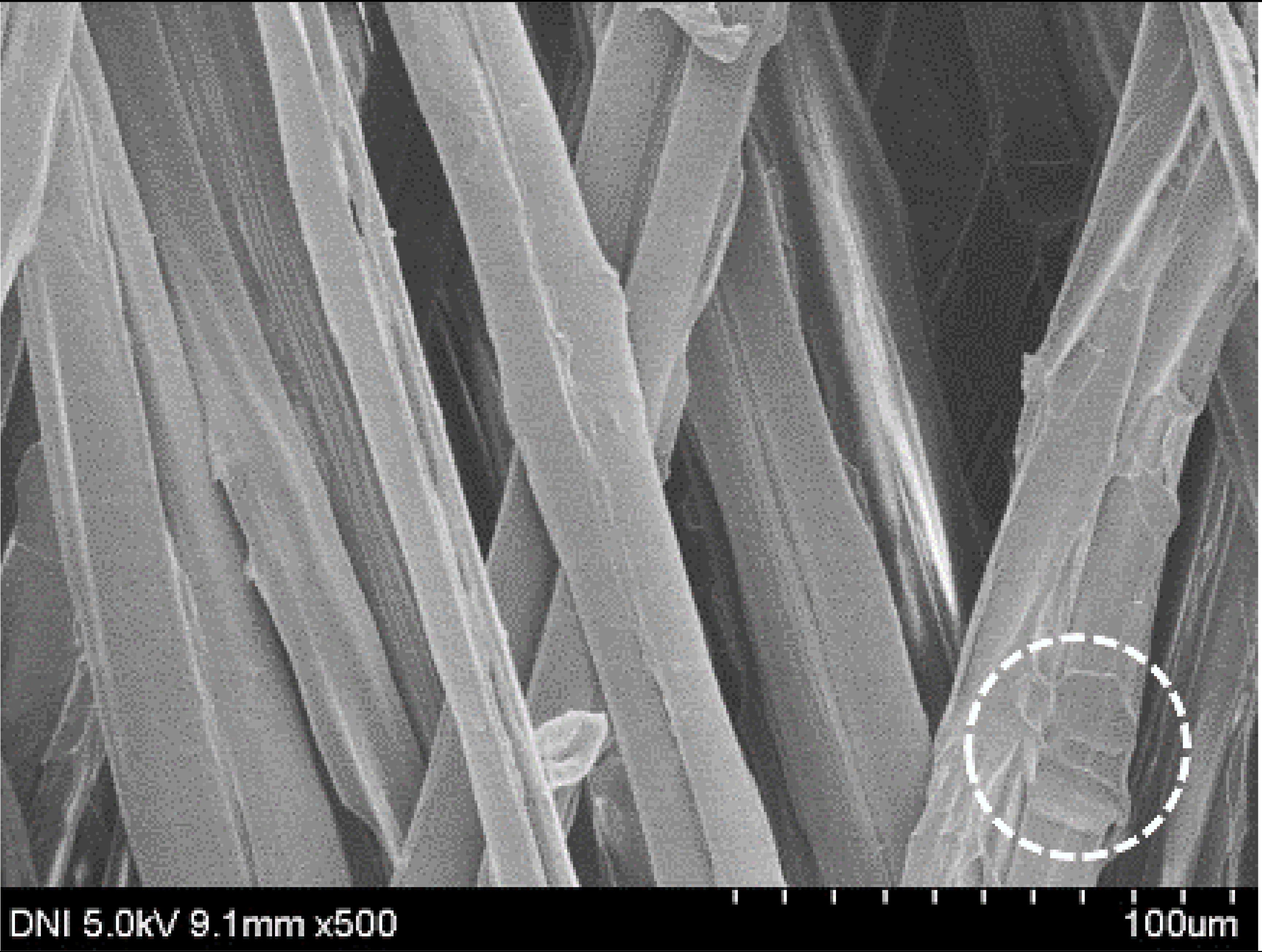 Polymers 13 01578 i006 Polymers 13 01578 i006