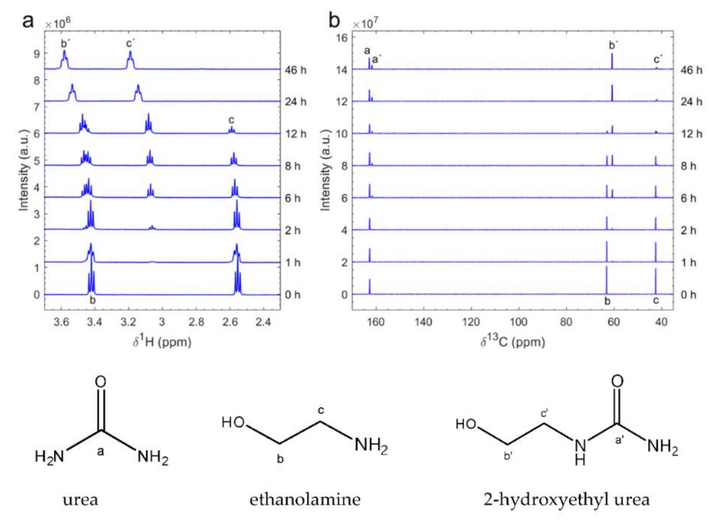 Polymers 13 01583 g001 Polymers 13 01583 g001