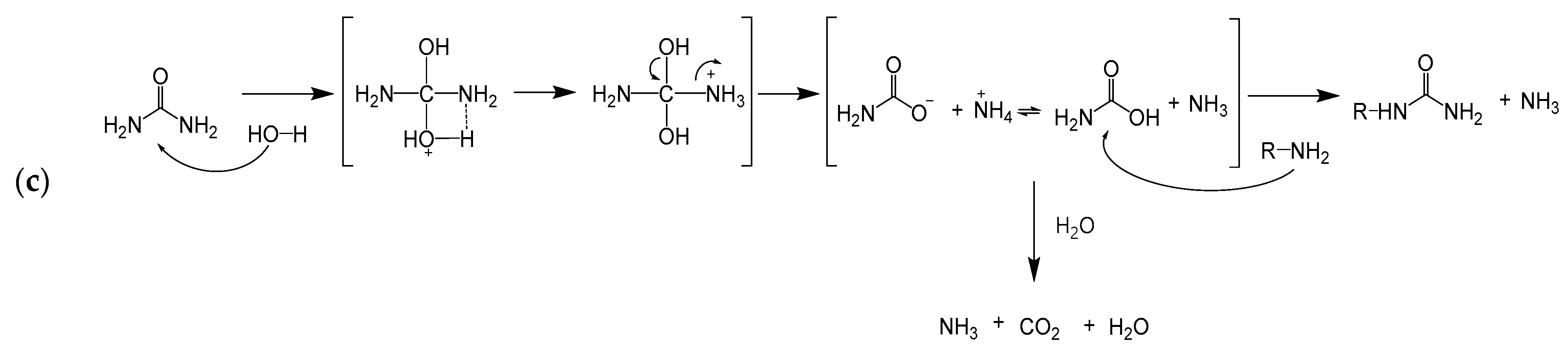 Polymers 13 01583 sch001b Polymers 13 01583 sch001b