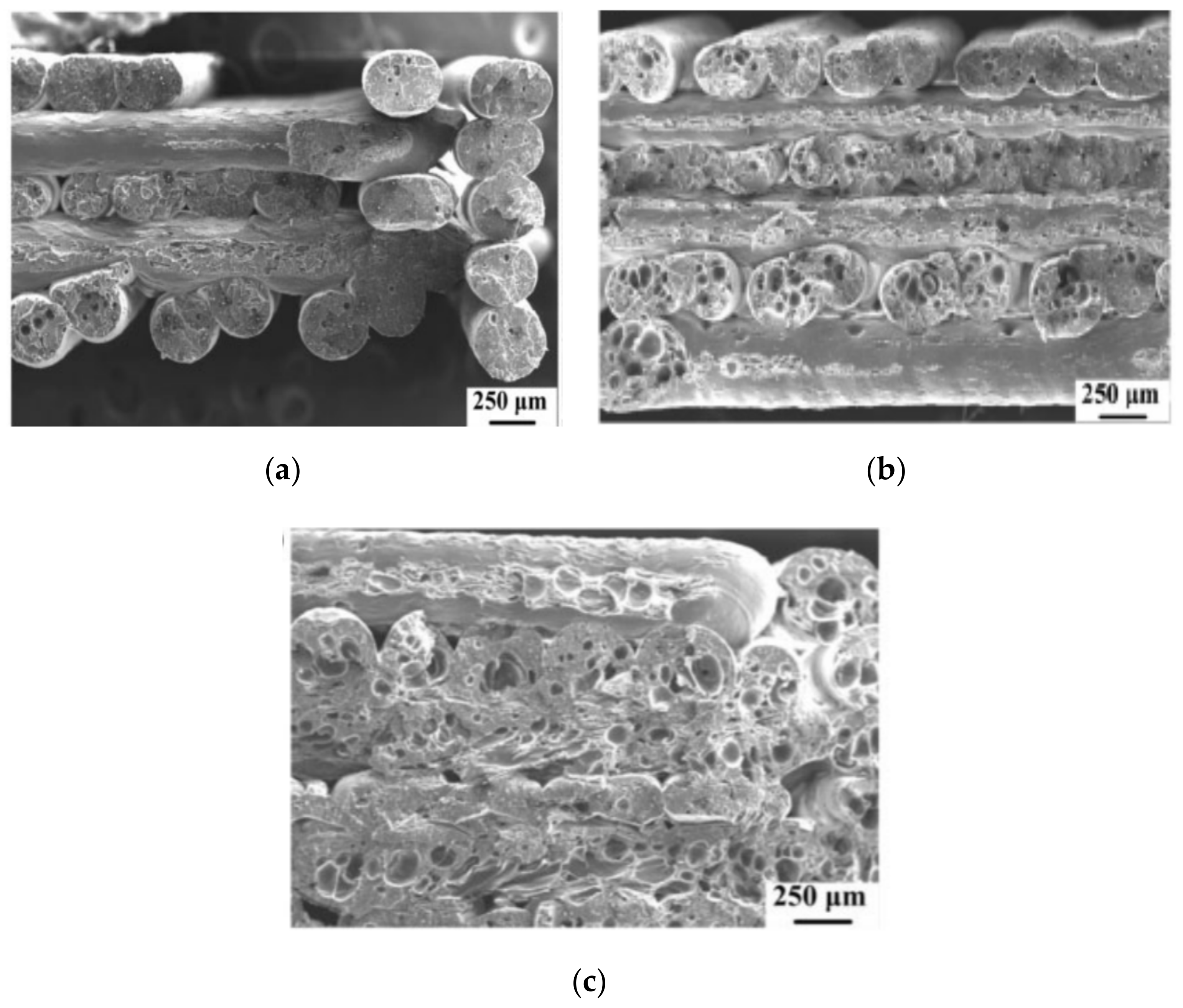 Polymers 13 01587 g008 Polymers 13 01587 g008