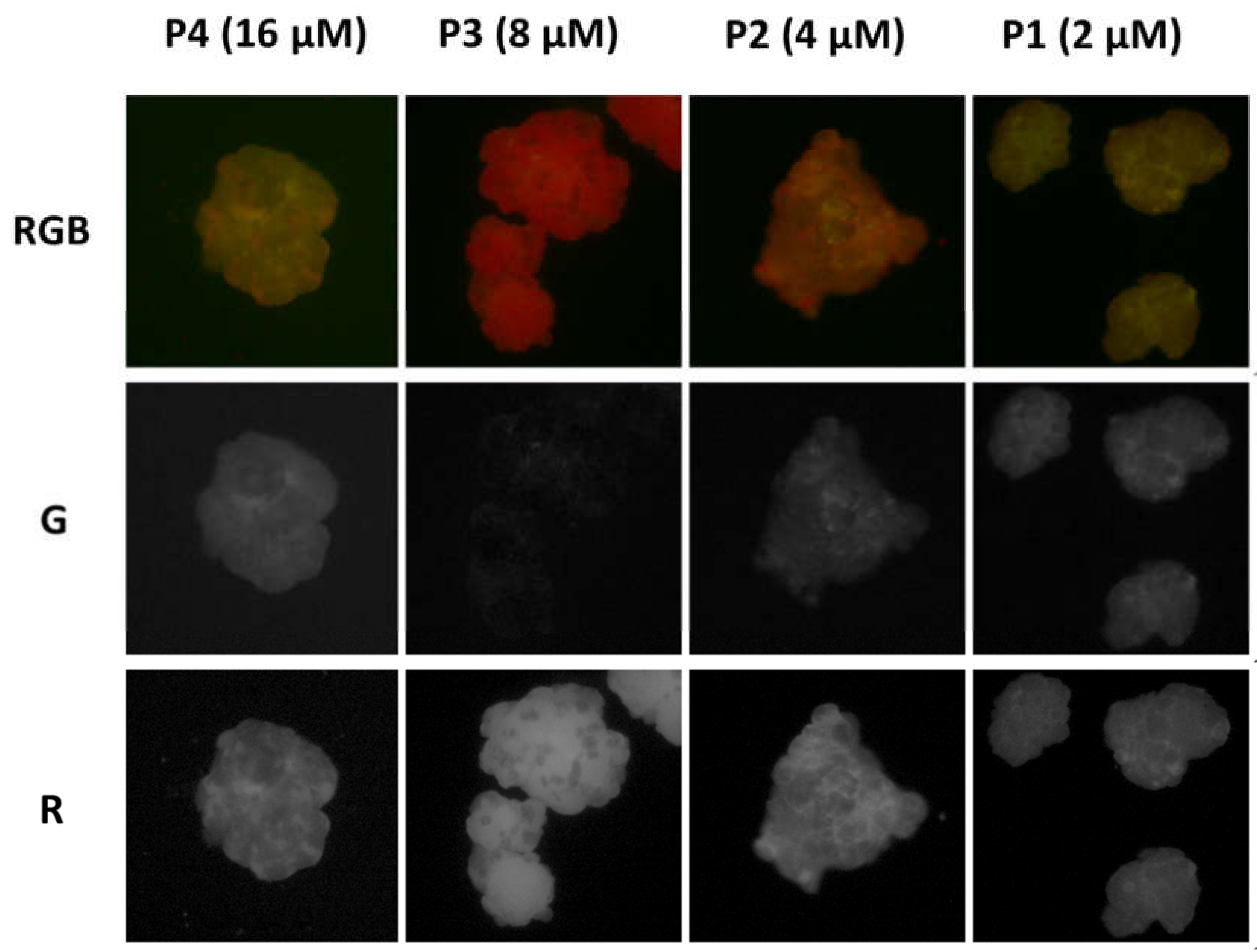 Polymers 13 01588 g005 Polymers 13 01588 g005