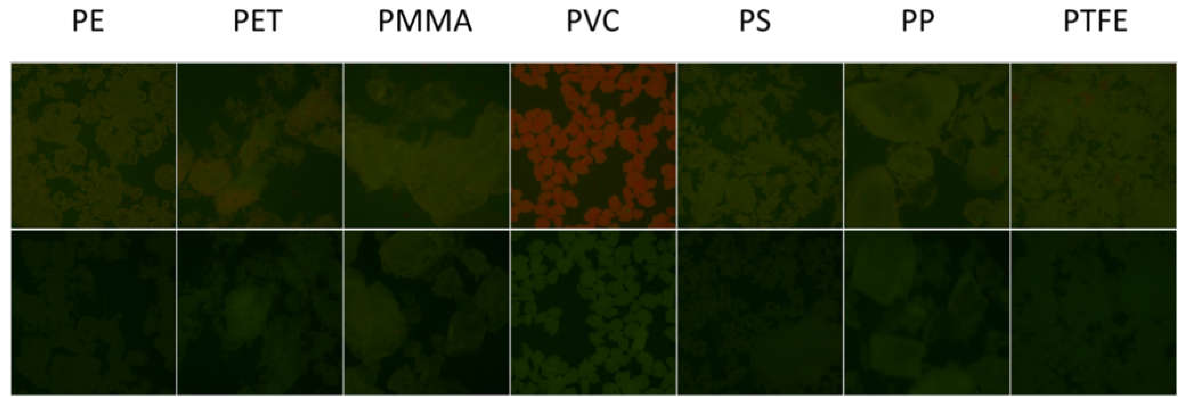 Polymers 13 01588 g007 Polymers 13 01588 g007