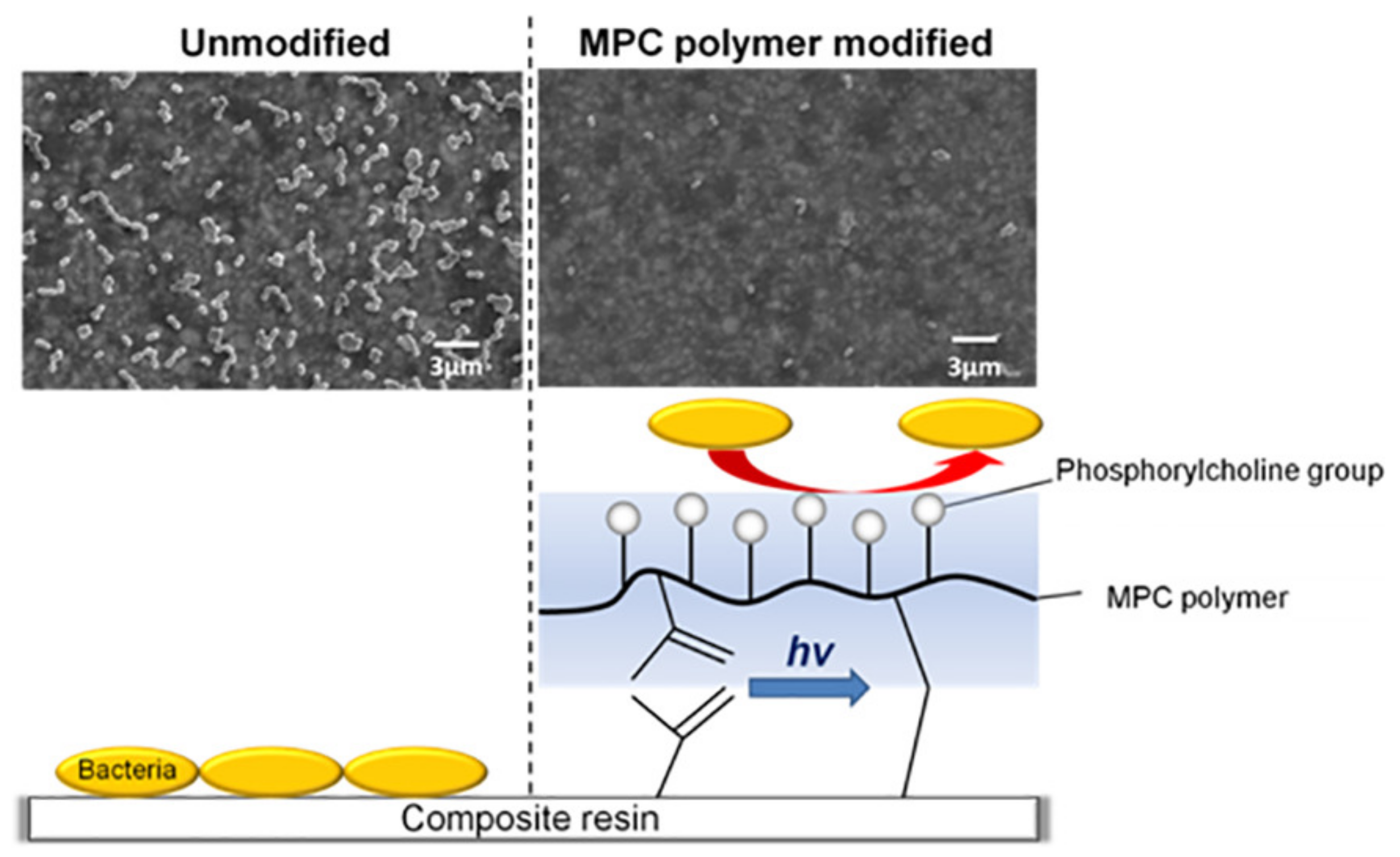 Polymers 13 01590 g004