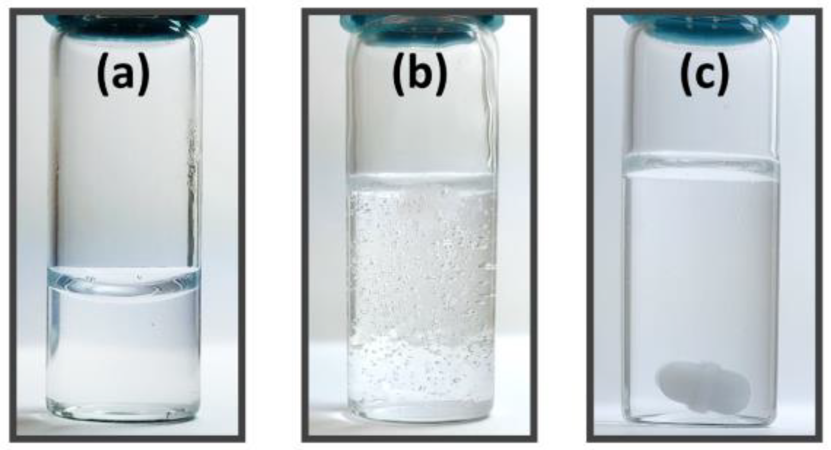 Polymers 13 01606 g008