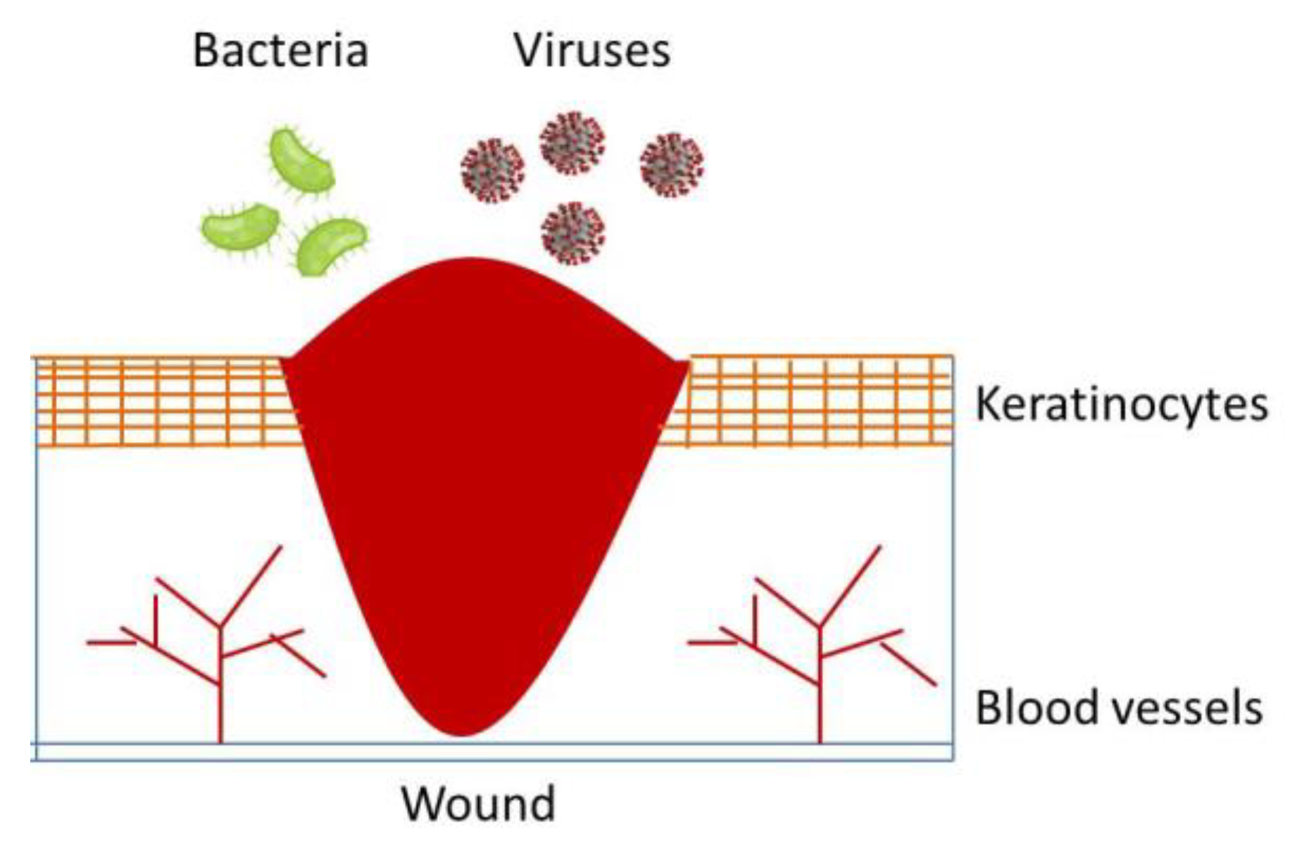 Polymers 13 01608 g001