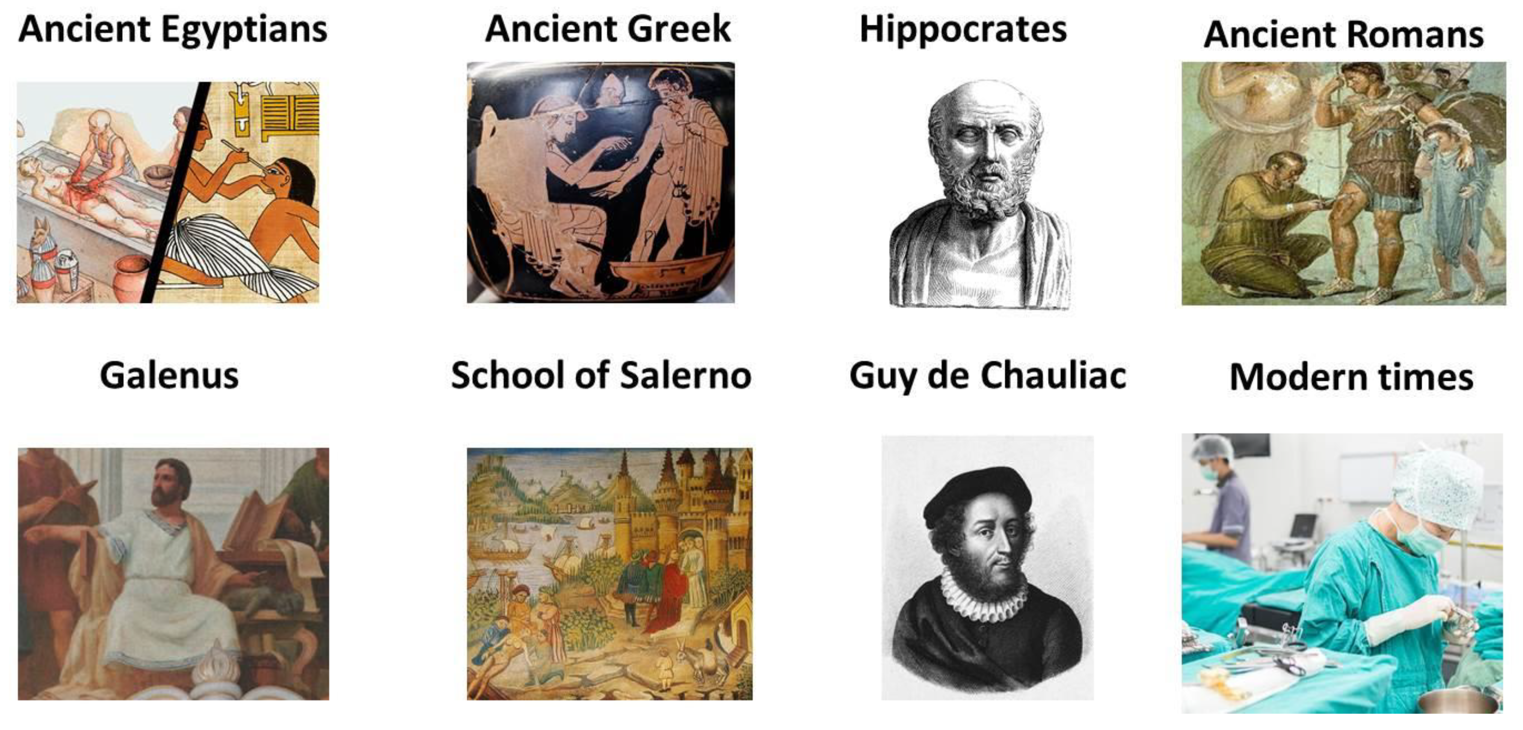 Polymers 13 01608 g002