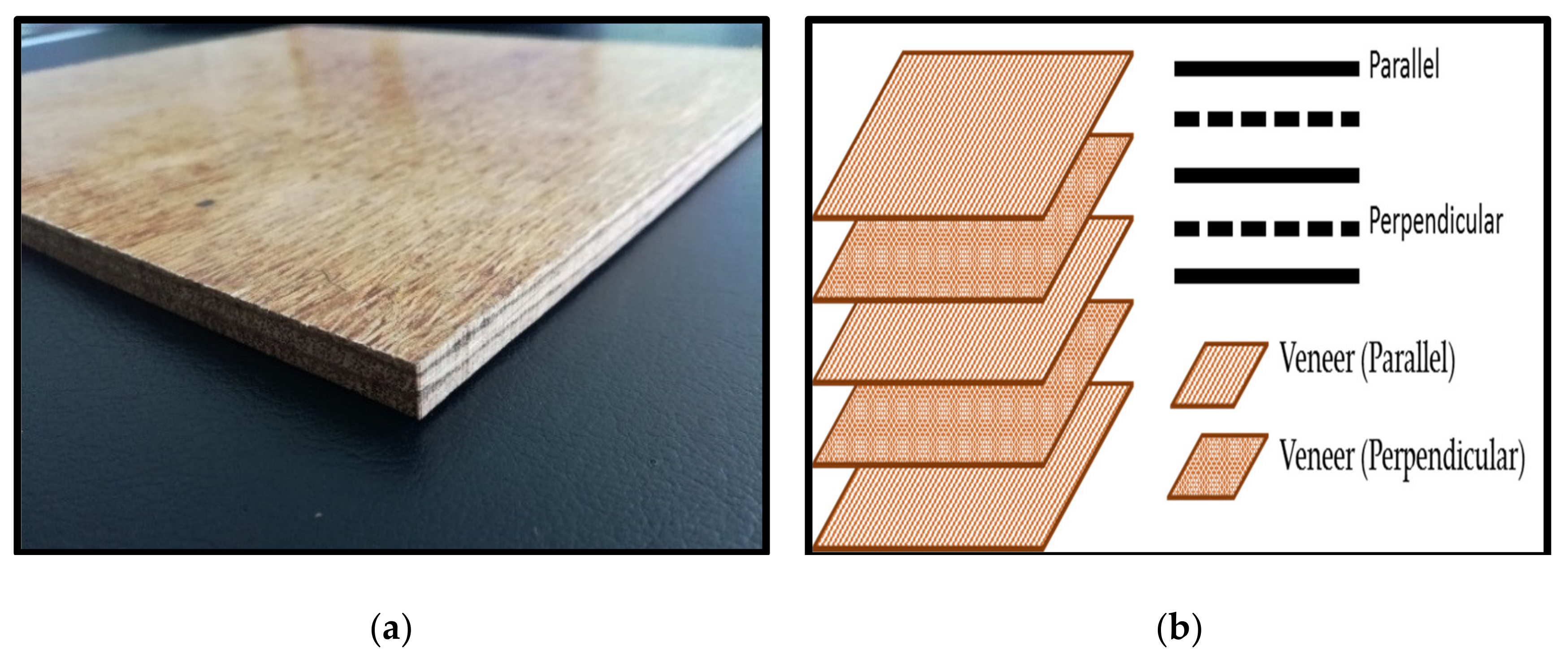 Polymers 13 01615 g001 Polymers 13 01615 g001