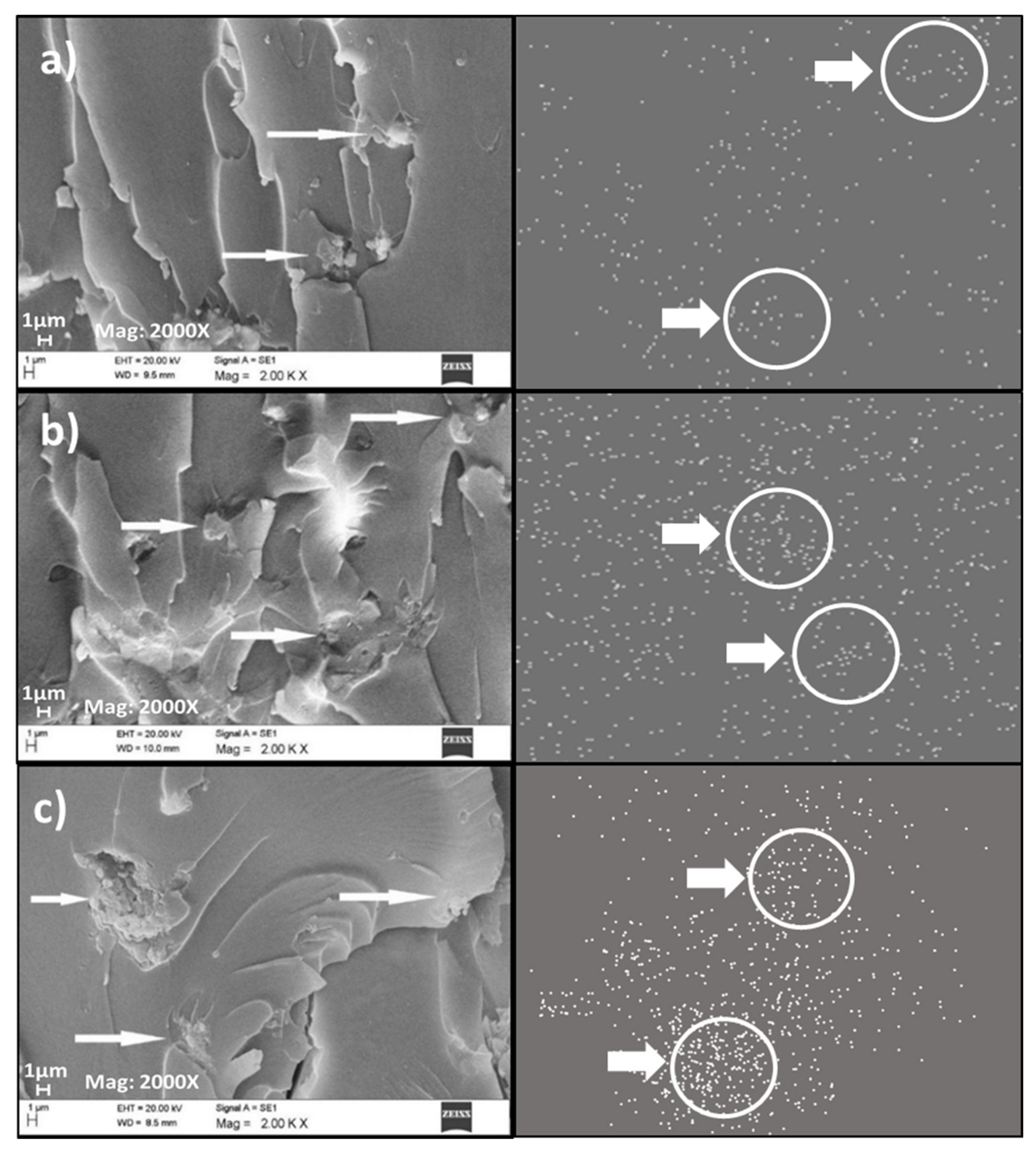 Polymers 13 01615 g010 Polymers 13 01615 g010