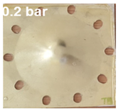 Polymers 13 01618 i003 Polymers 13 01618 i003