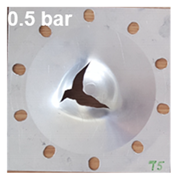 Polymers 13 01618 i016 Polymers 13 01618 i016