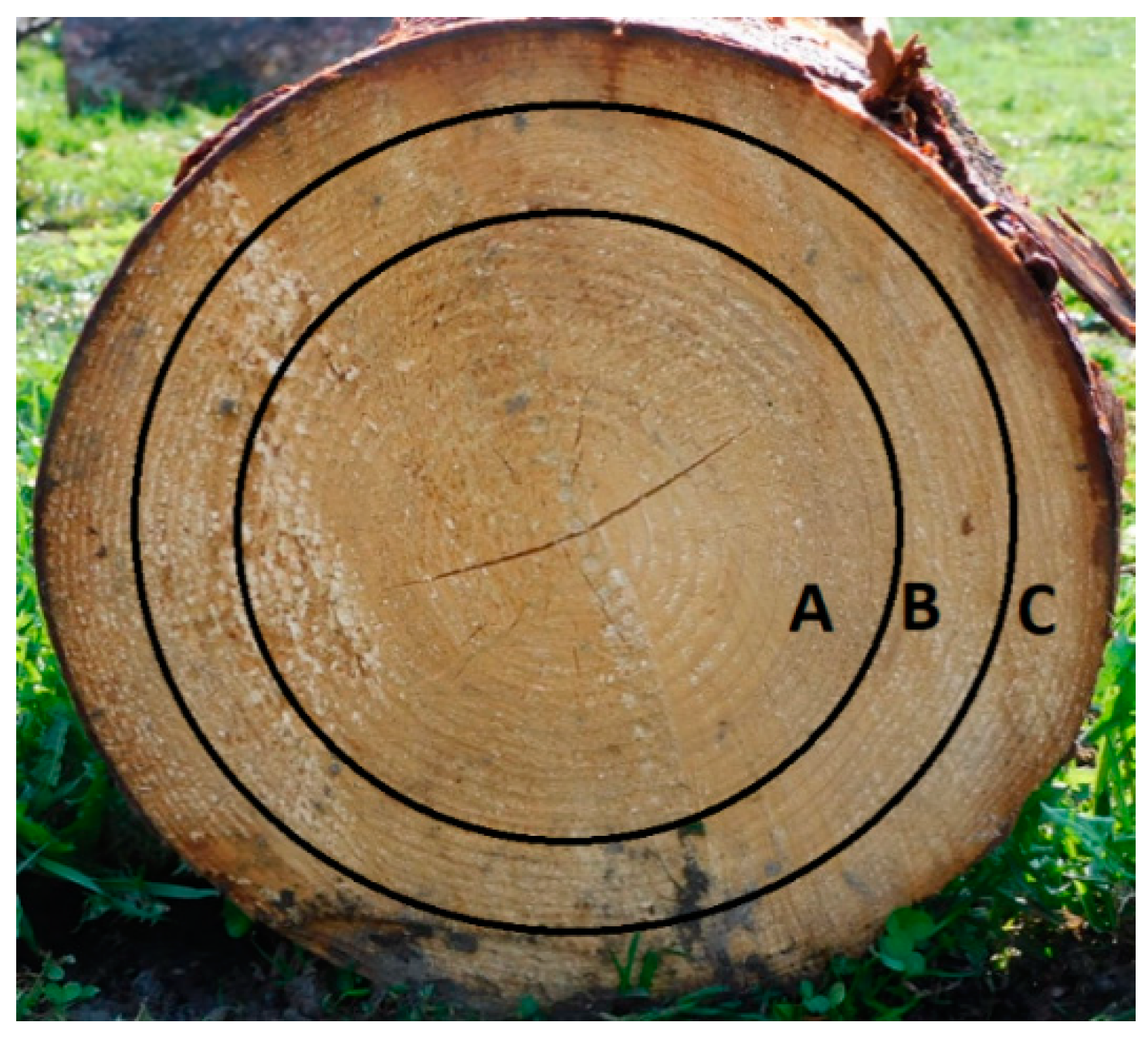 Polymers 13 01619 g001