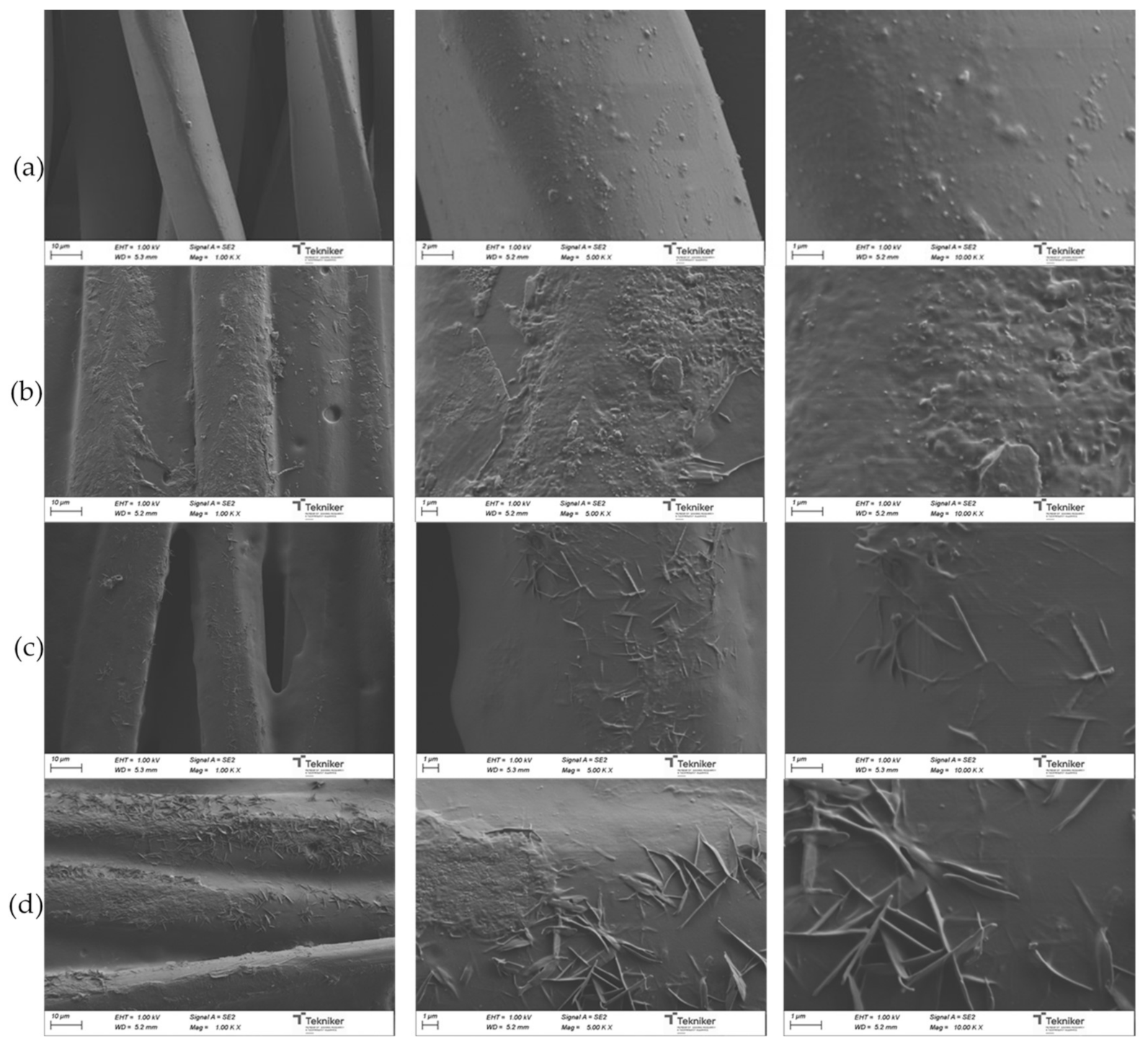 Polymers 13 01624 g021