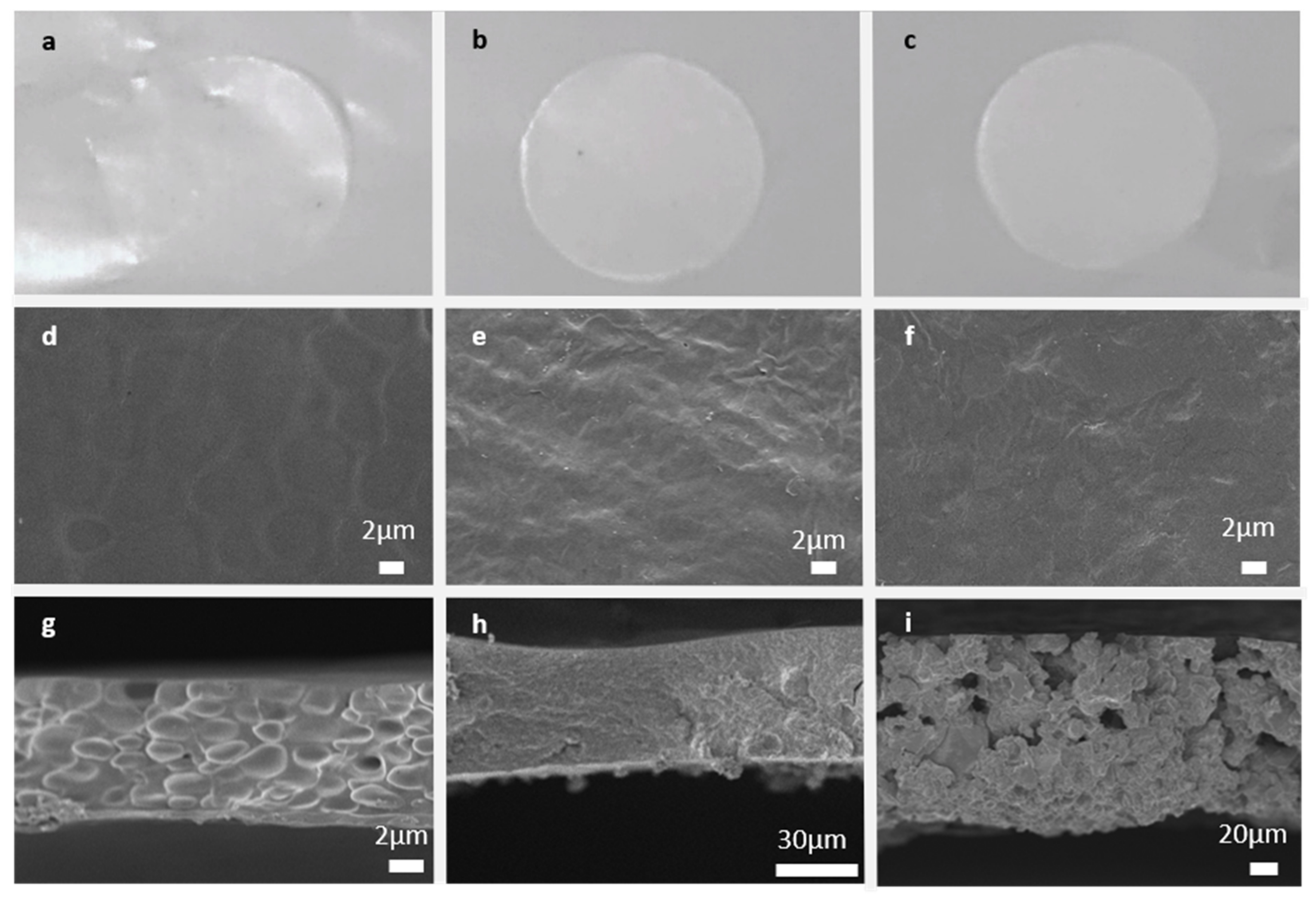 Polymers 13 01625 g002 Polymers 13 01625 g002