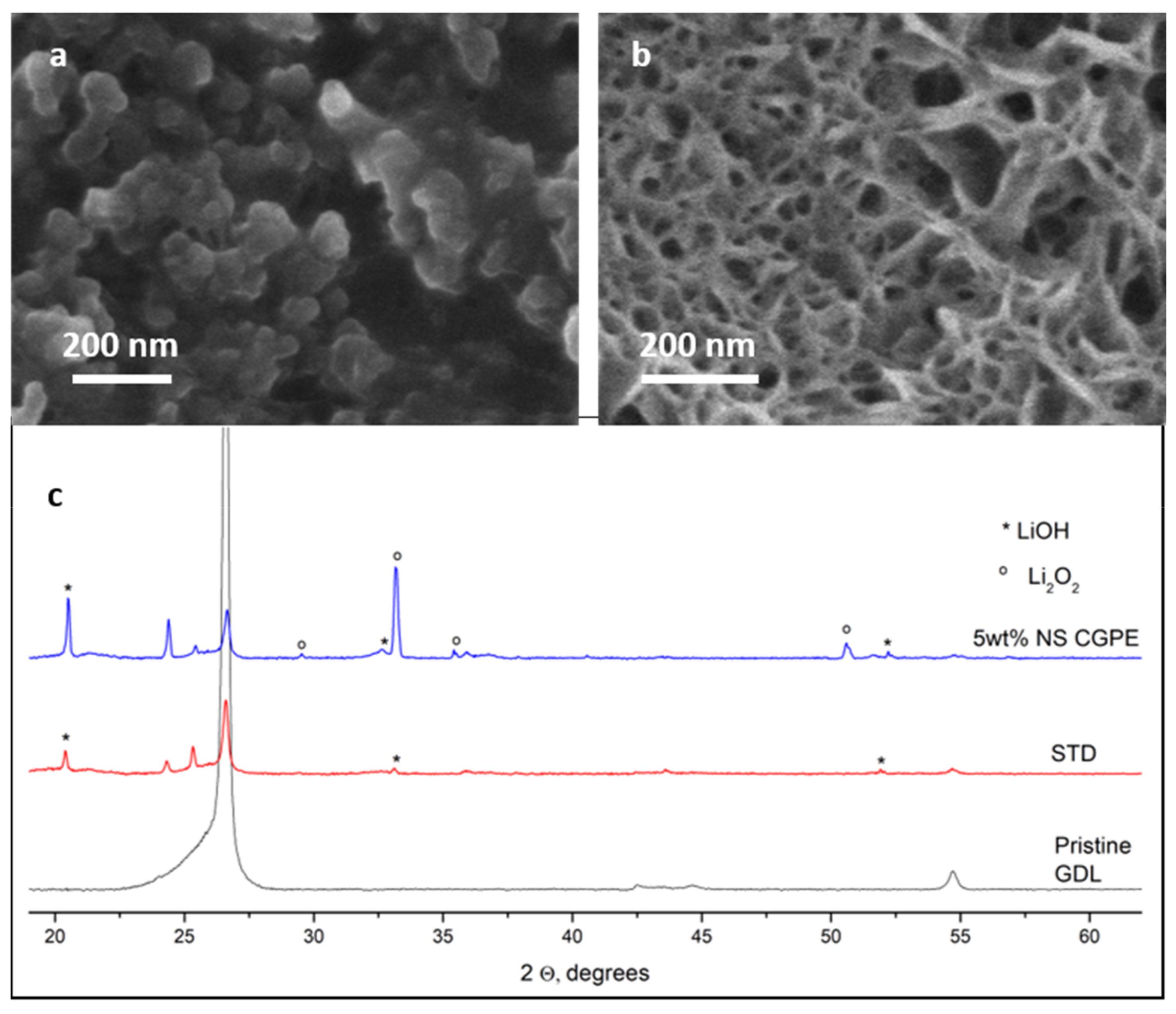 Polymers 13 01625 g007 Polymers 13 01625 g007