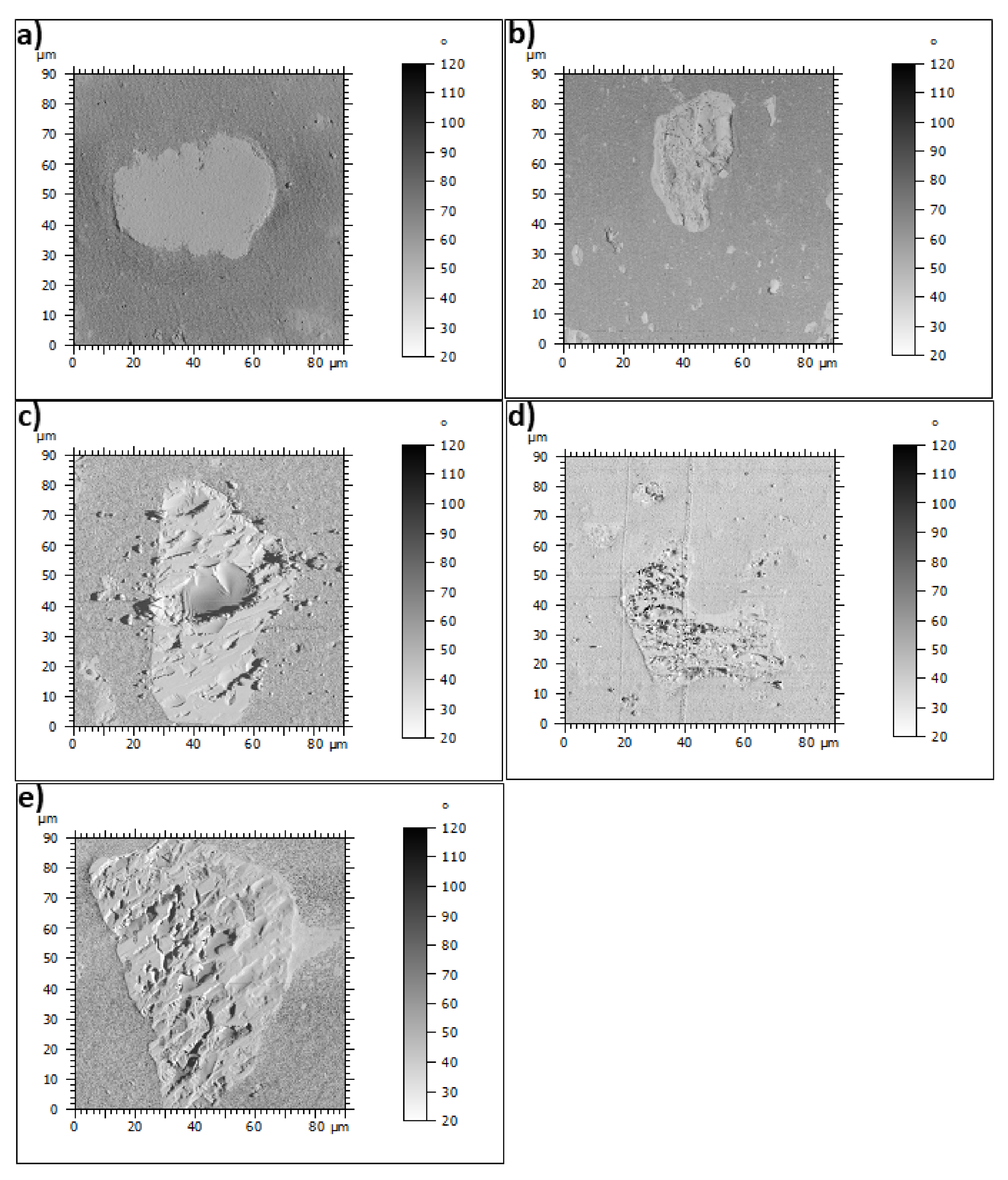 Polymers 13 01626 g008