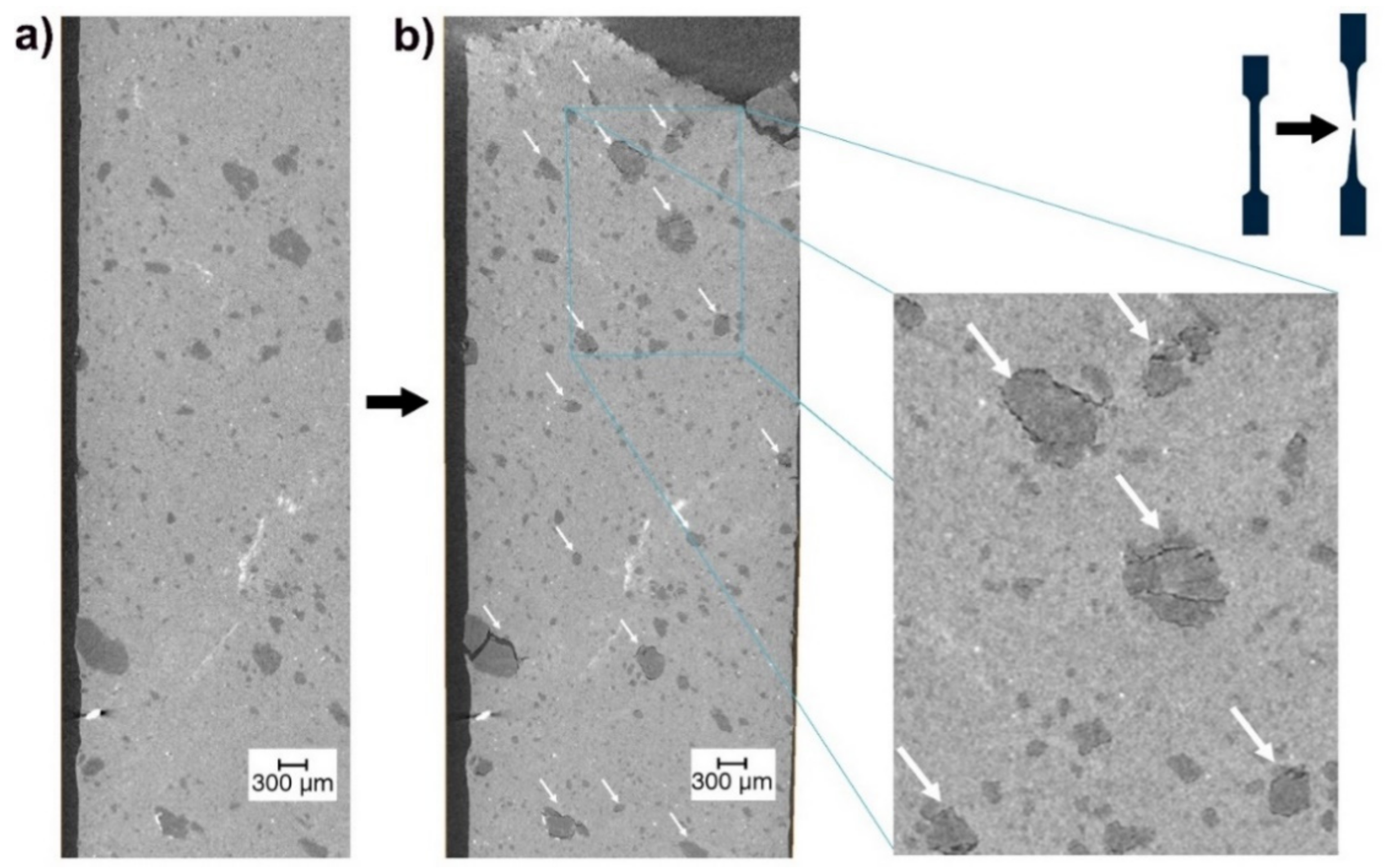 Polymers 13 01626 g009