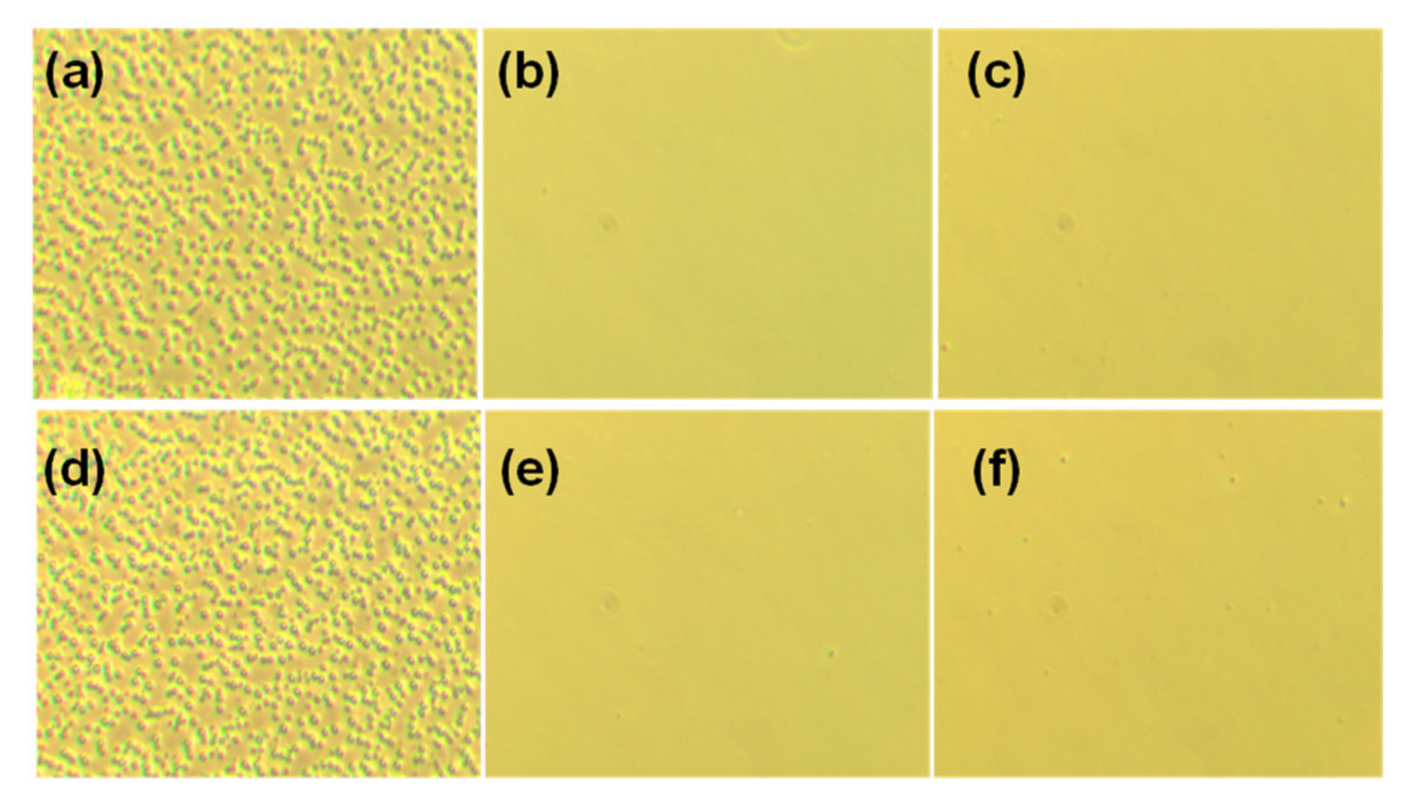 Polymers 13 01629 g004