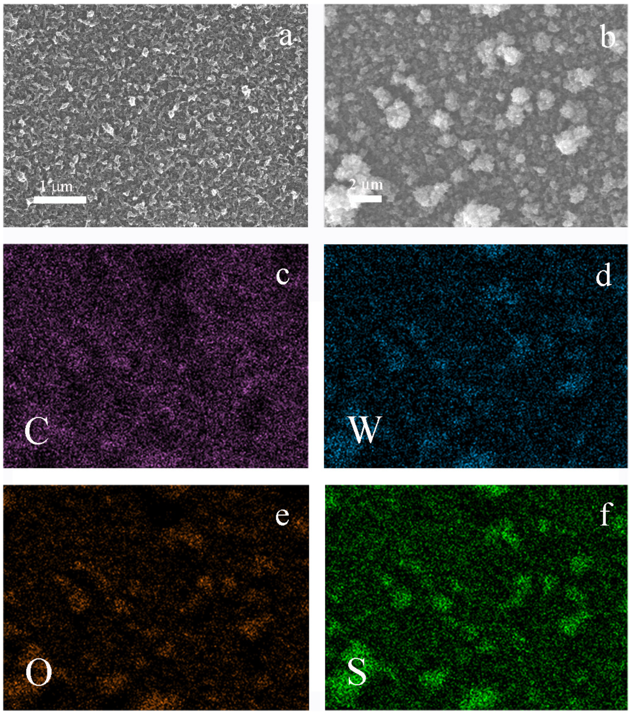 Polymers 13 01630 g001