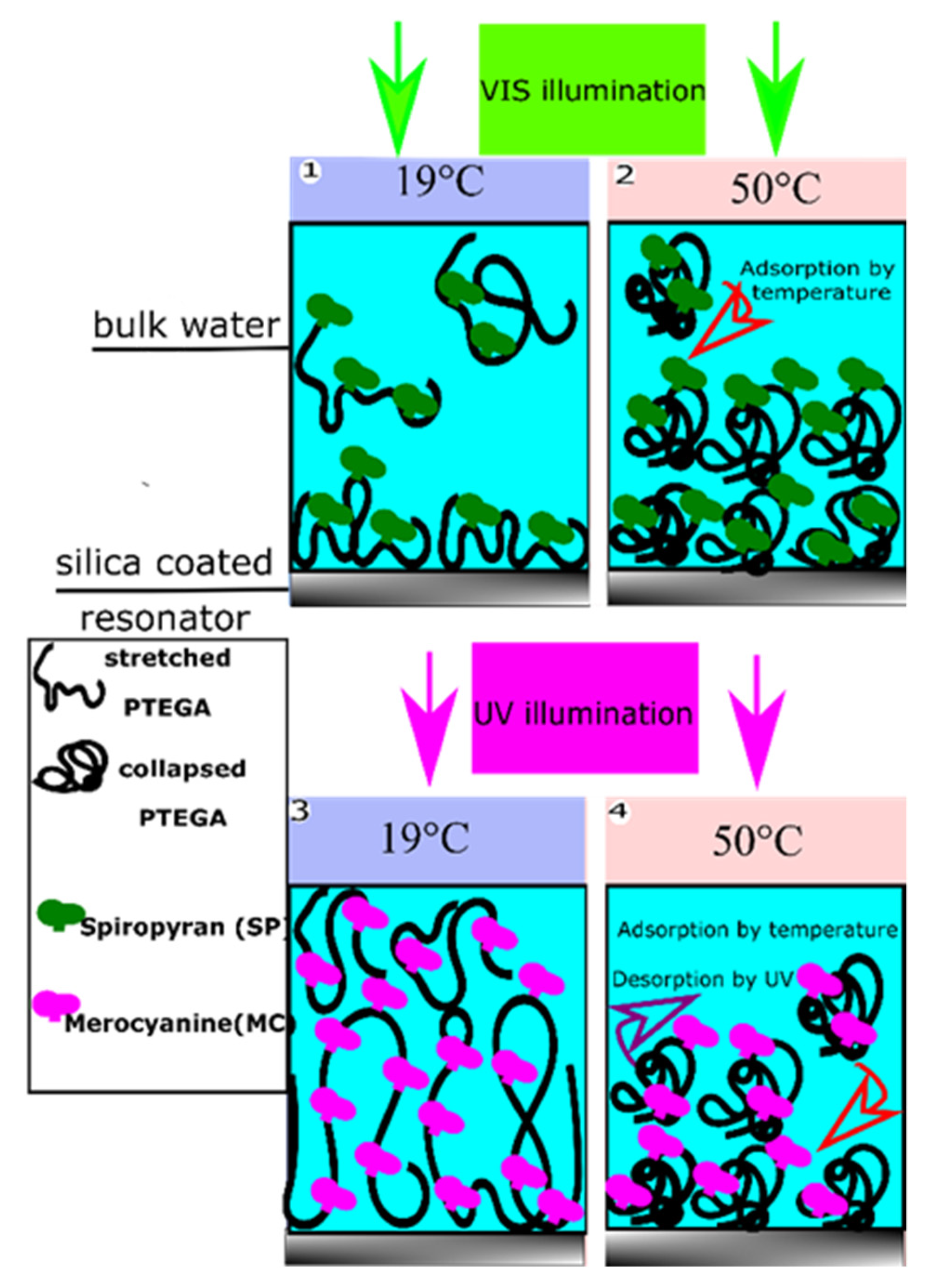 Polymers 13 01633 g001