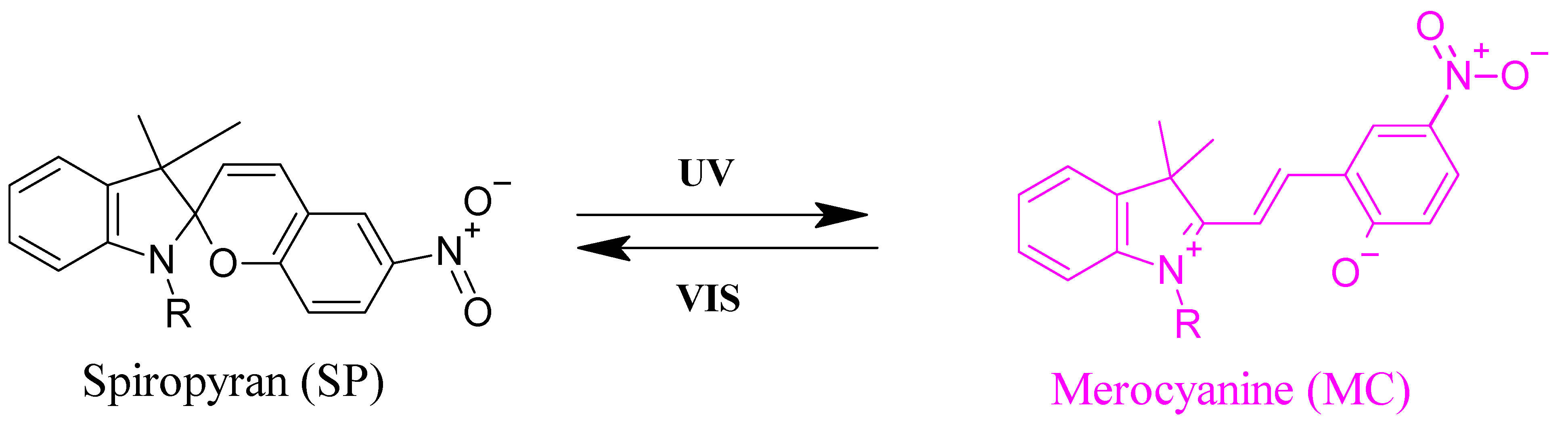 Polymers 13 01633 g002