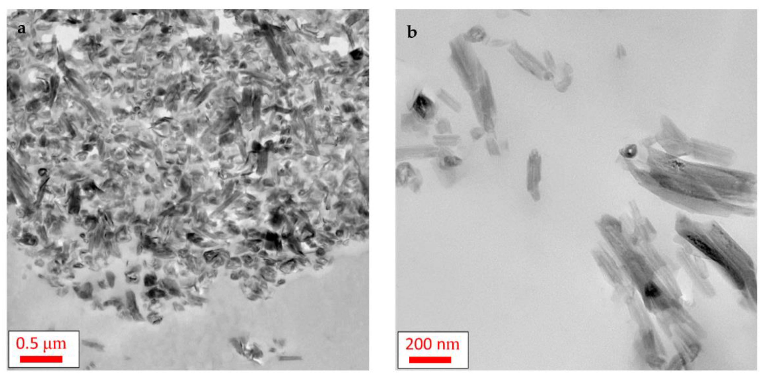 Polymers 13 01634 g004