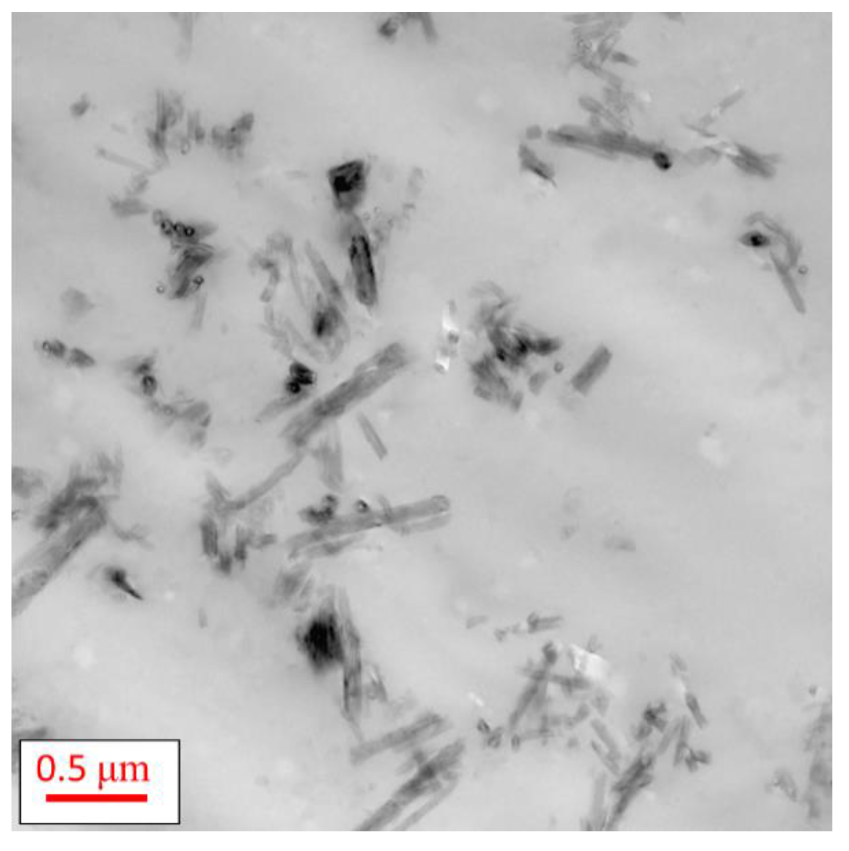Polymers 13 01634 g014