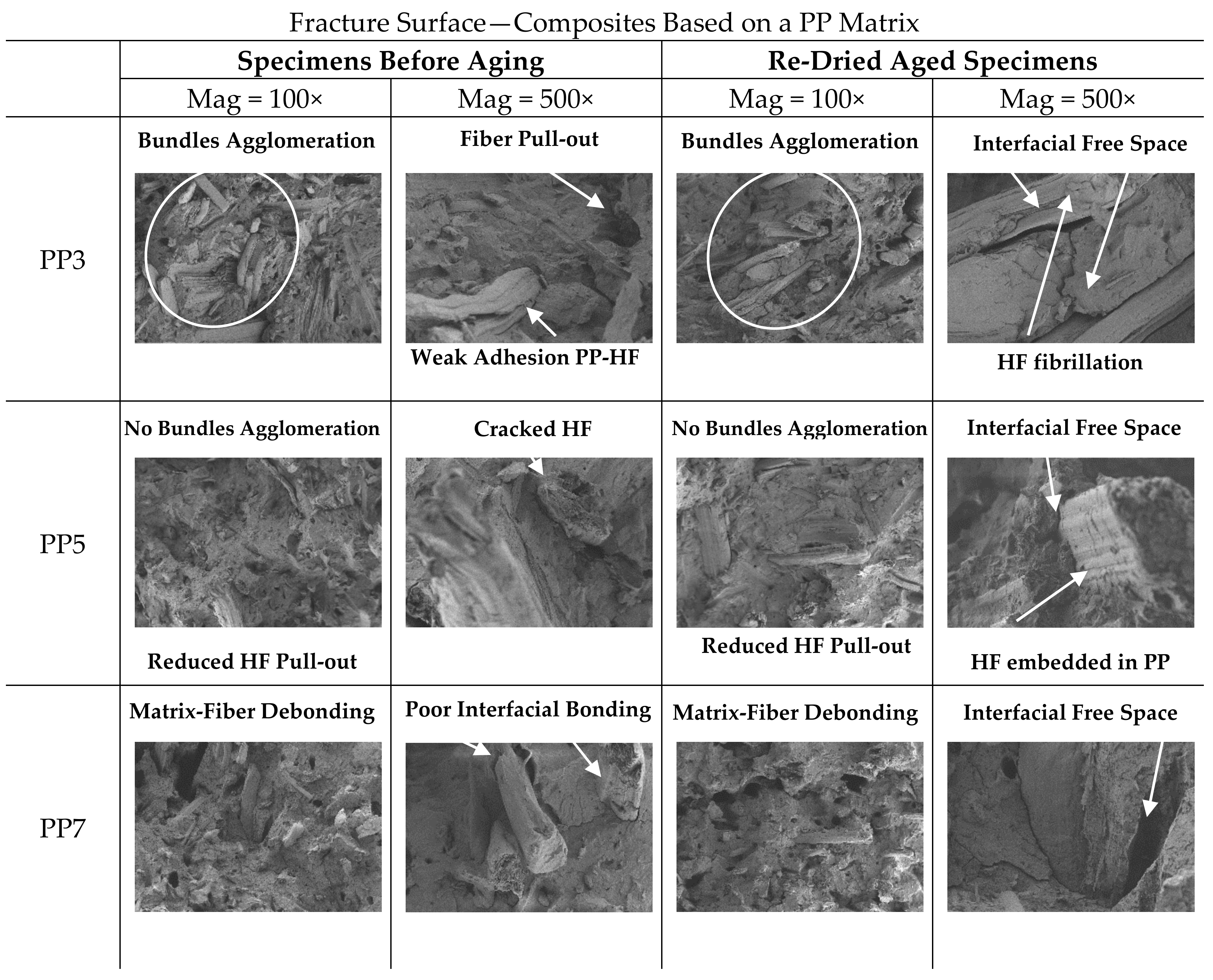 Polymers 13 01638 g012