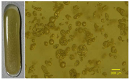 Polymers 13 01642 i001 Polymers 13 01642 i001